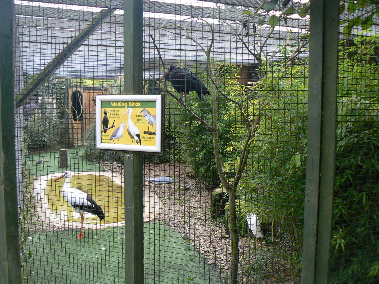View Of Wader Aviary