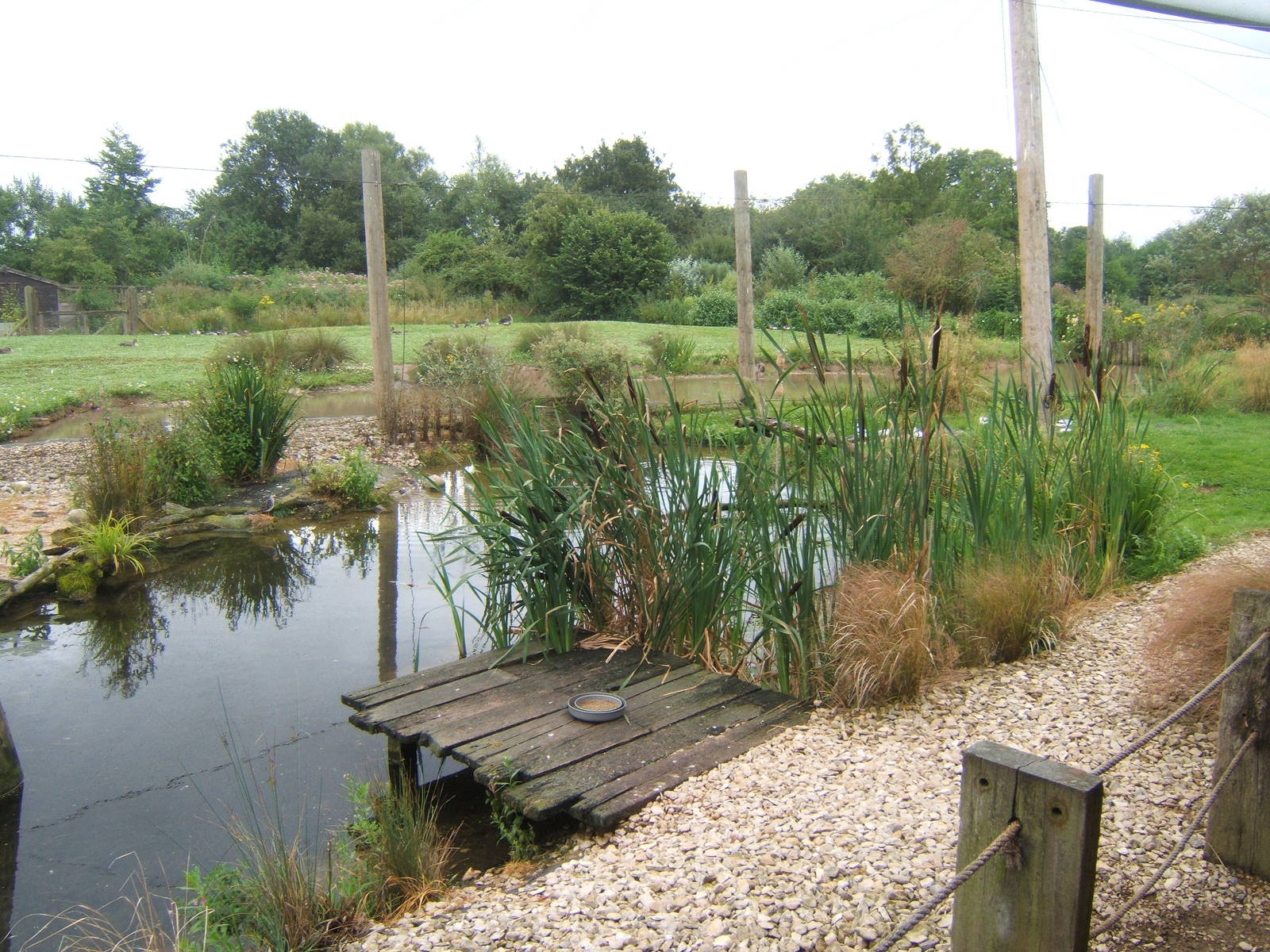 View of Wader Aviary