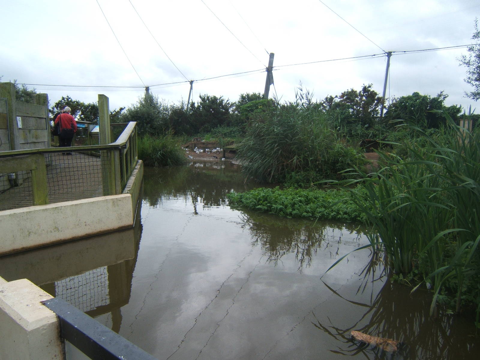 View of Wader Estuary