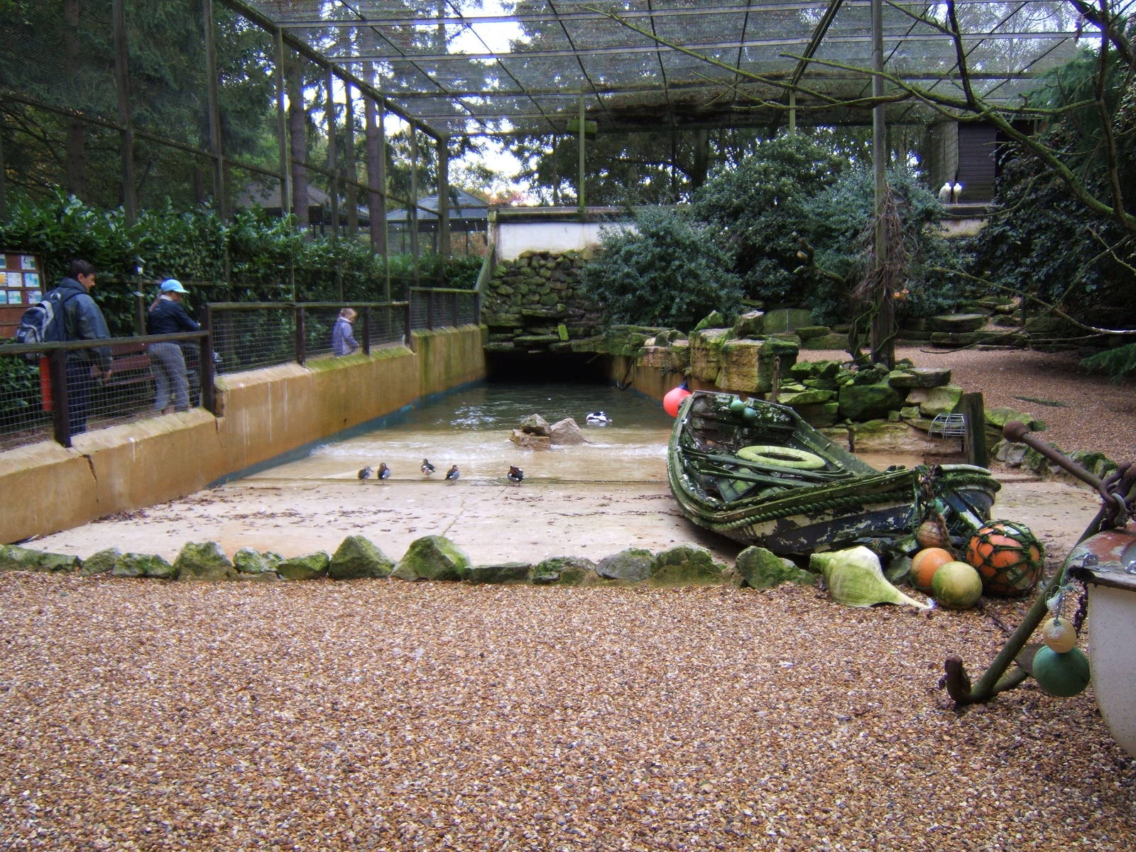View of wader exhibit