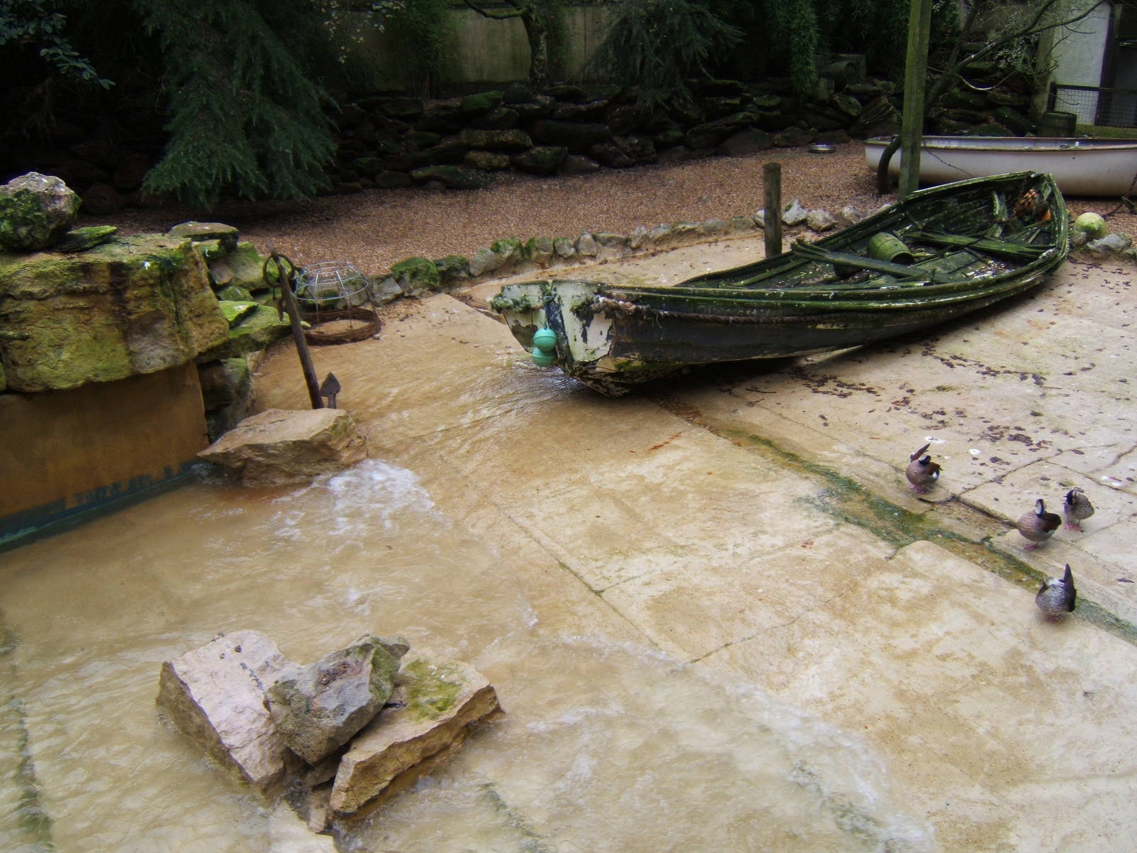View of wader exhibit