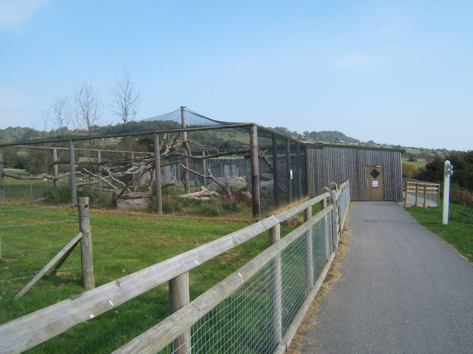 View of walk in Pallas Cat enclosure