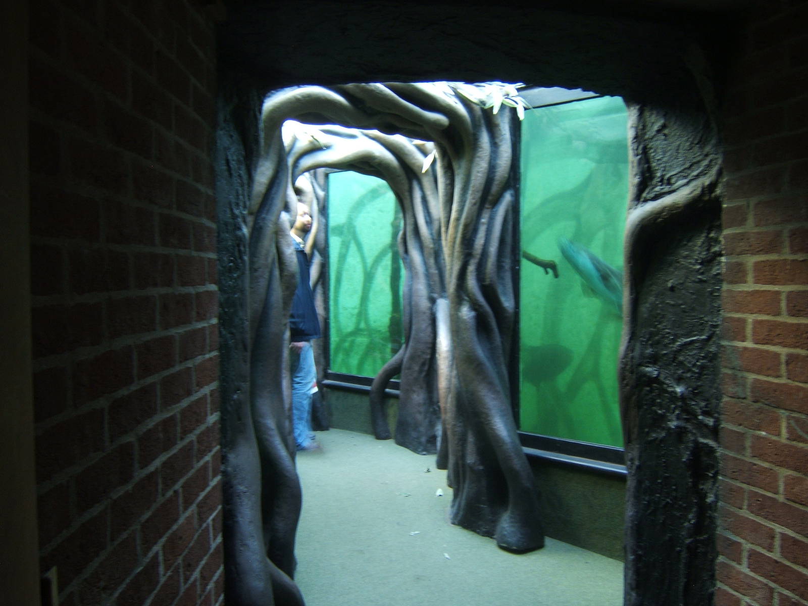 View of walk through Amazon Tank