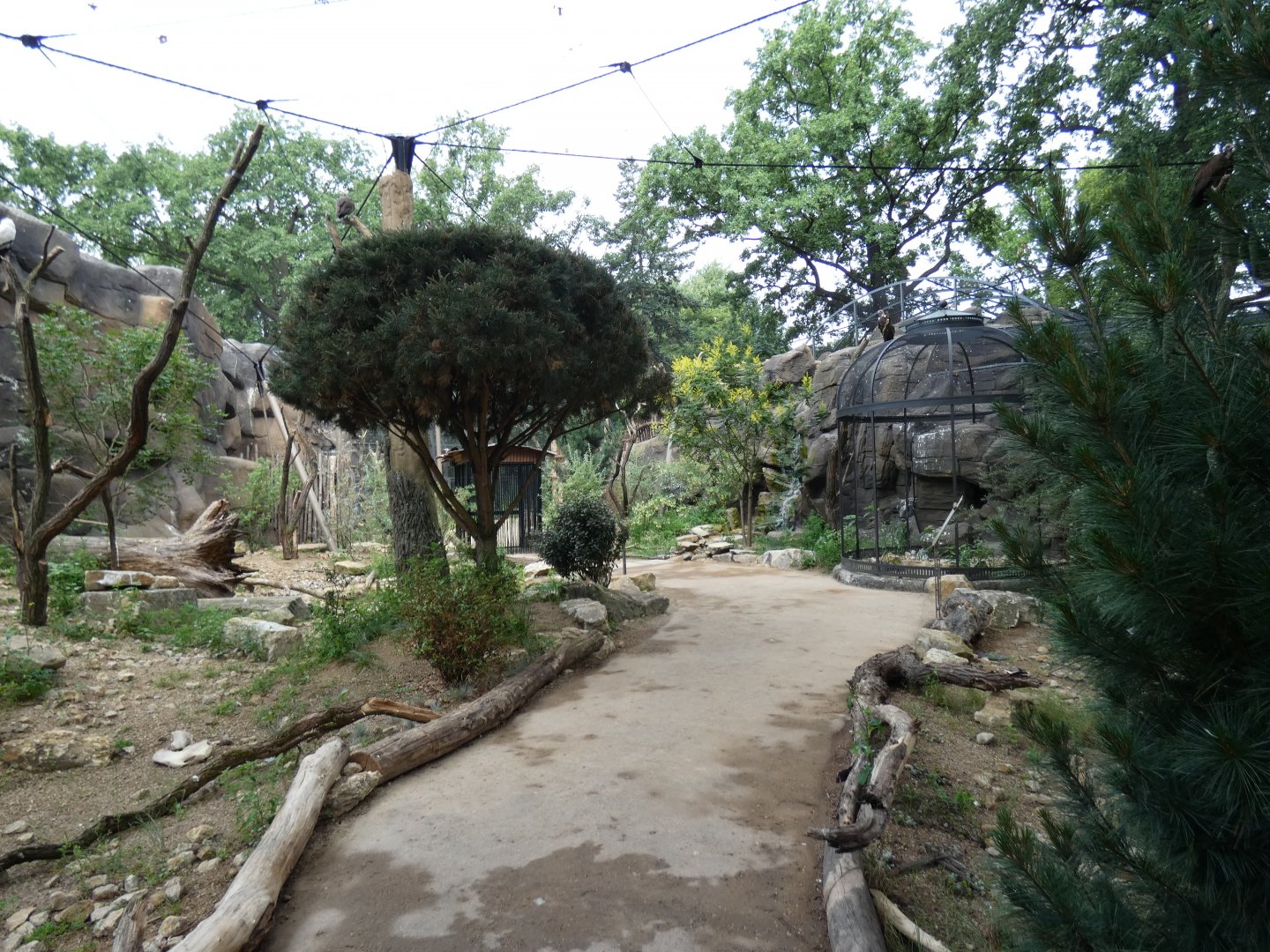 View of walk-through aviary