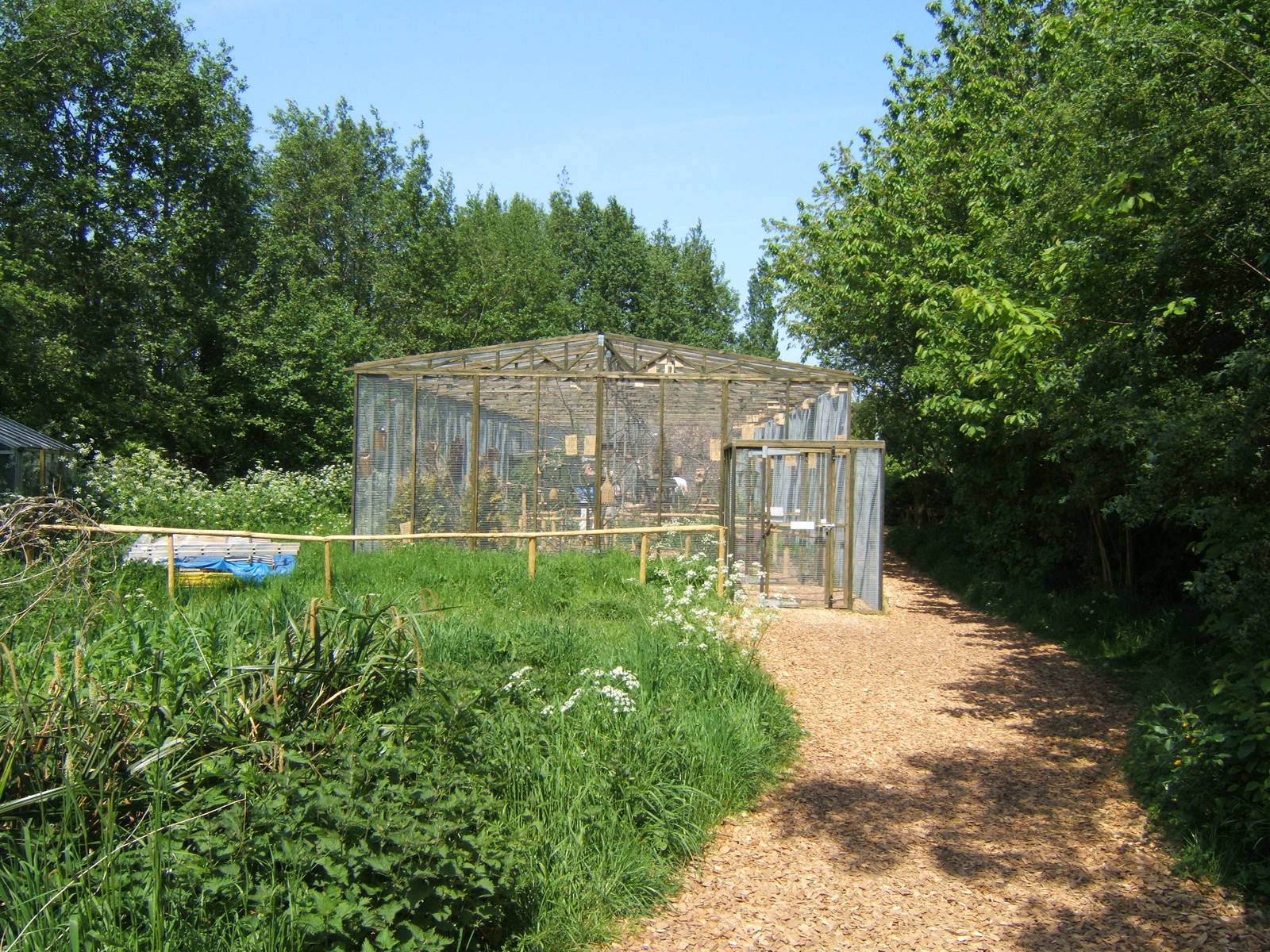 View of Walk-through Aviary