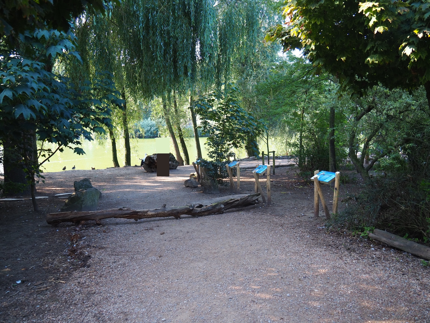 View of walk-through bird area (Sep 2nd, 2018)