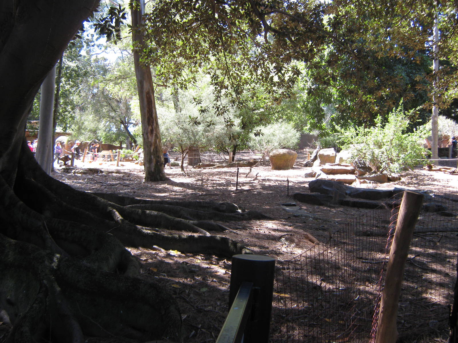 view of walk-through enclosure for kangaroos etc