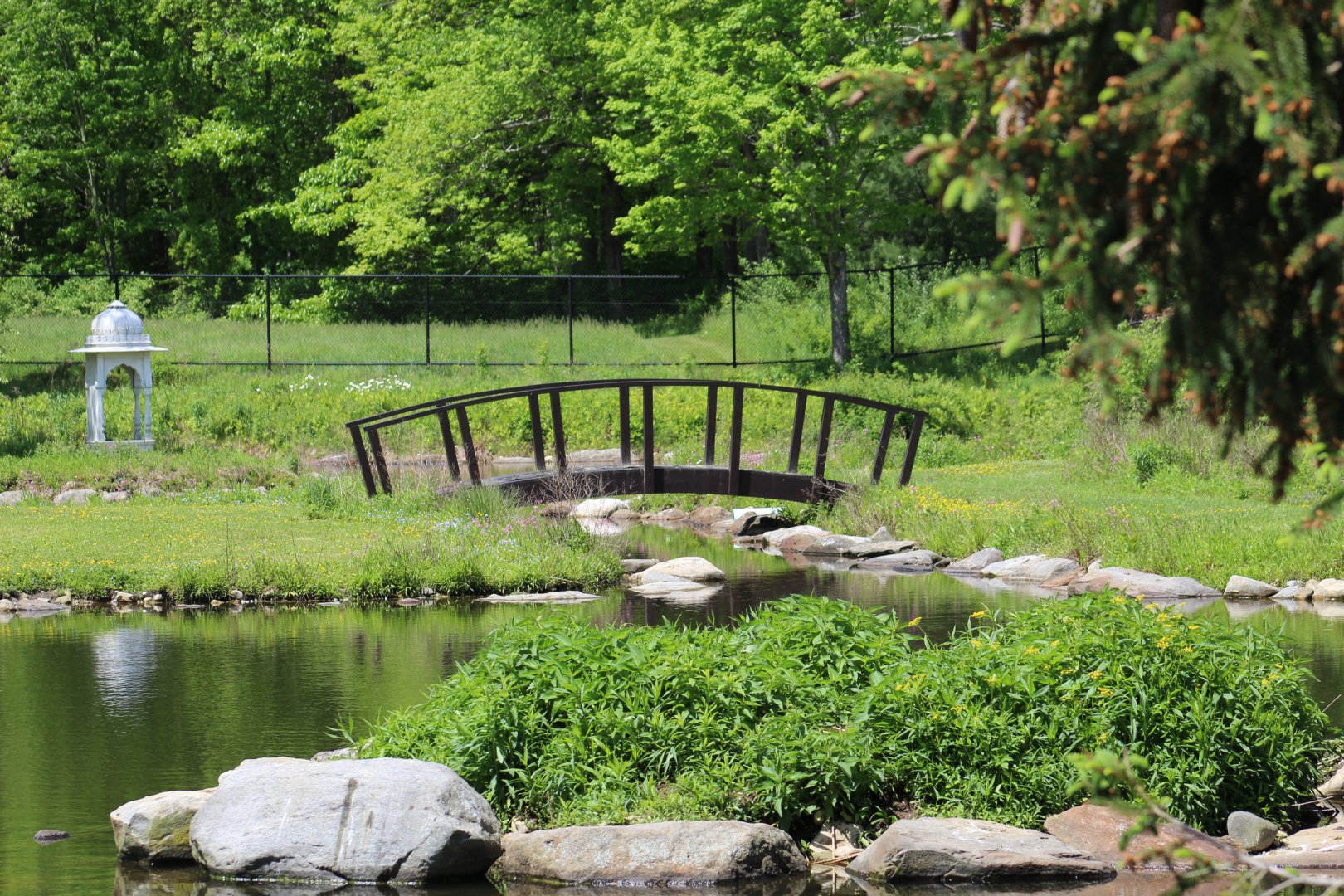View of Walk-Through Enclosure