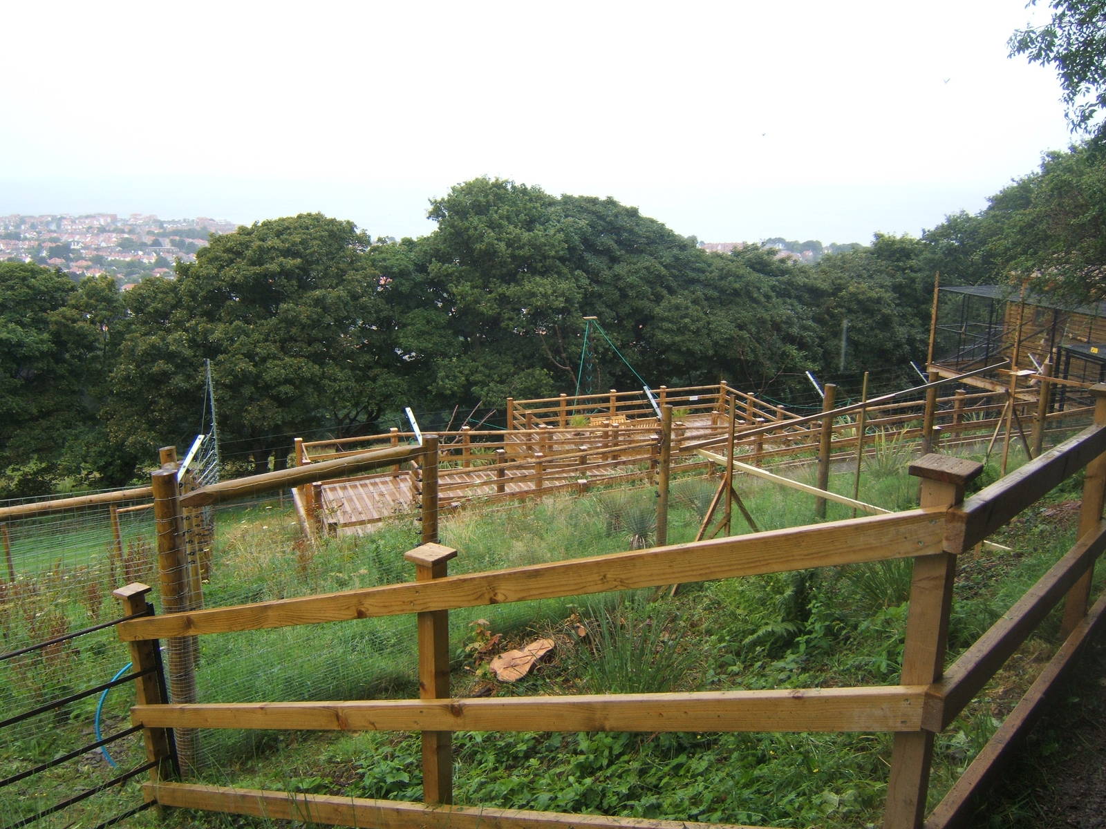 View of walk-through Lemur enclosure