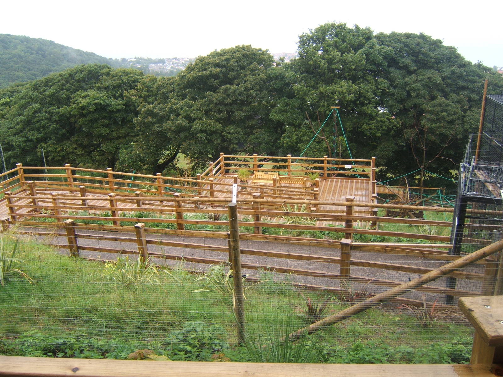 View of walk-through Lemur enclosure