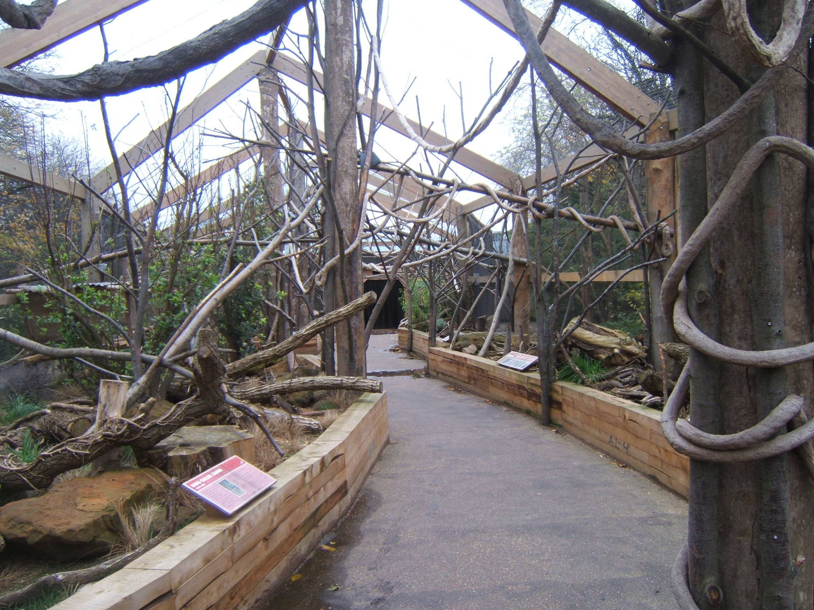 View of walk through Lemur enclosure