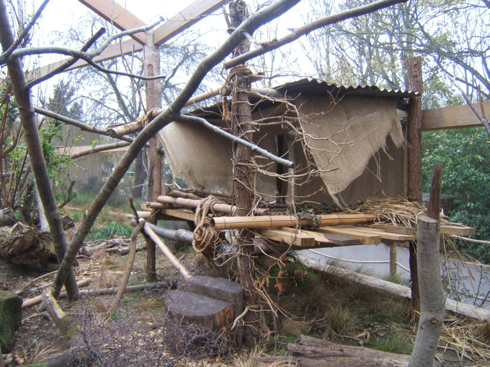 View of walk through Lemur enclosure