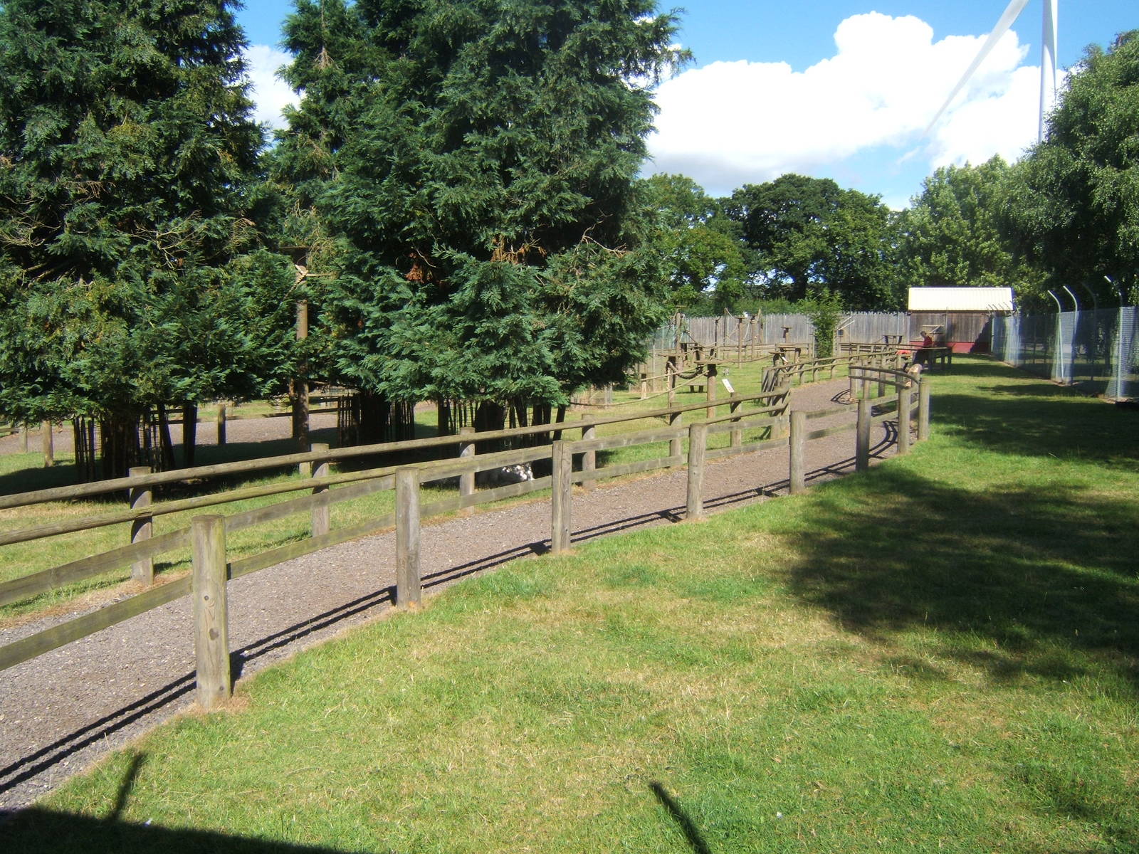 View of walk through Lemur exhibit