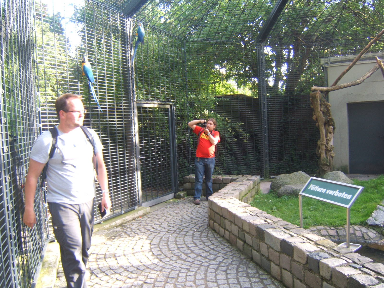 View of walk through Macaw Aviary