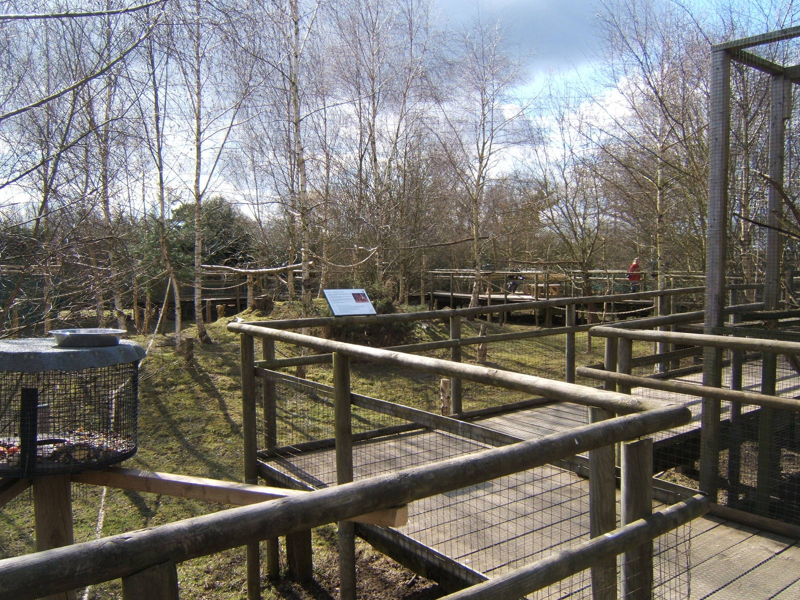 View of walk through Red Squirrel enclosure