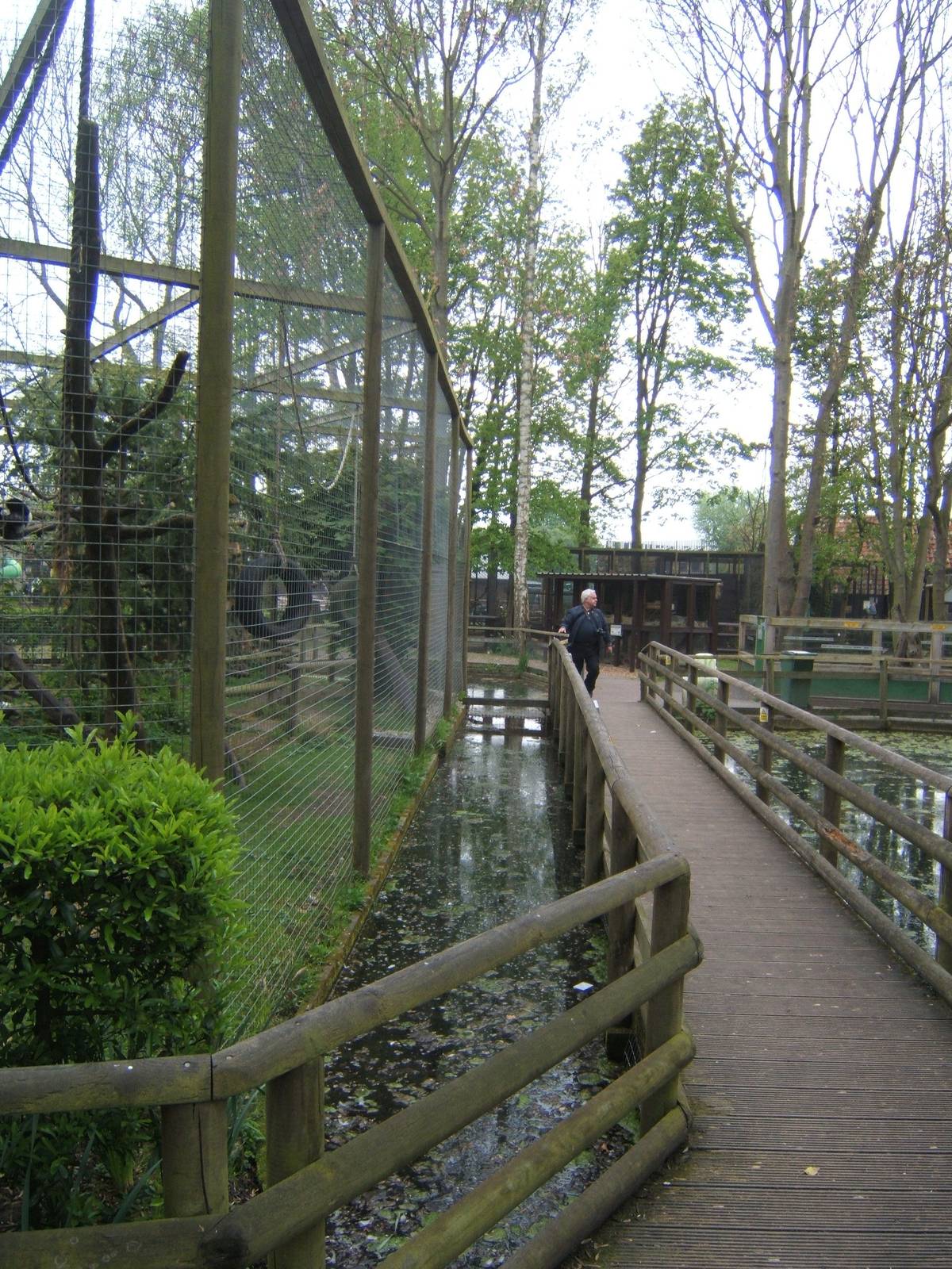 View of walk way with Black and White Ruffed Lemur enclosure on left