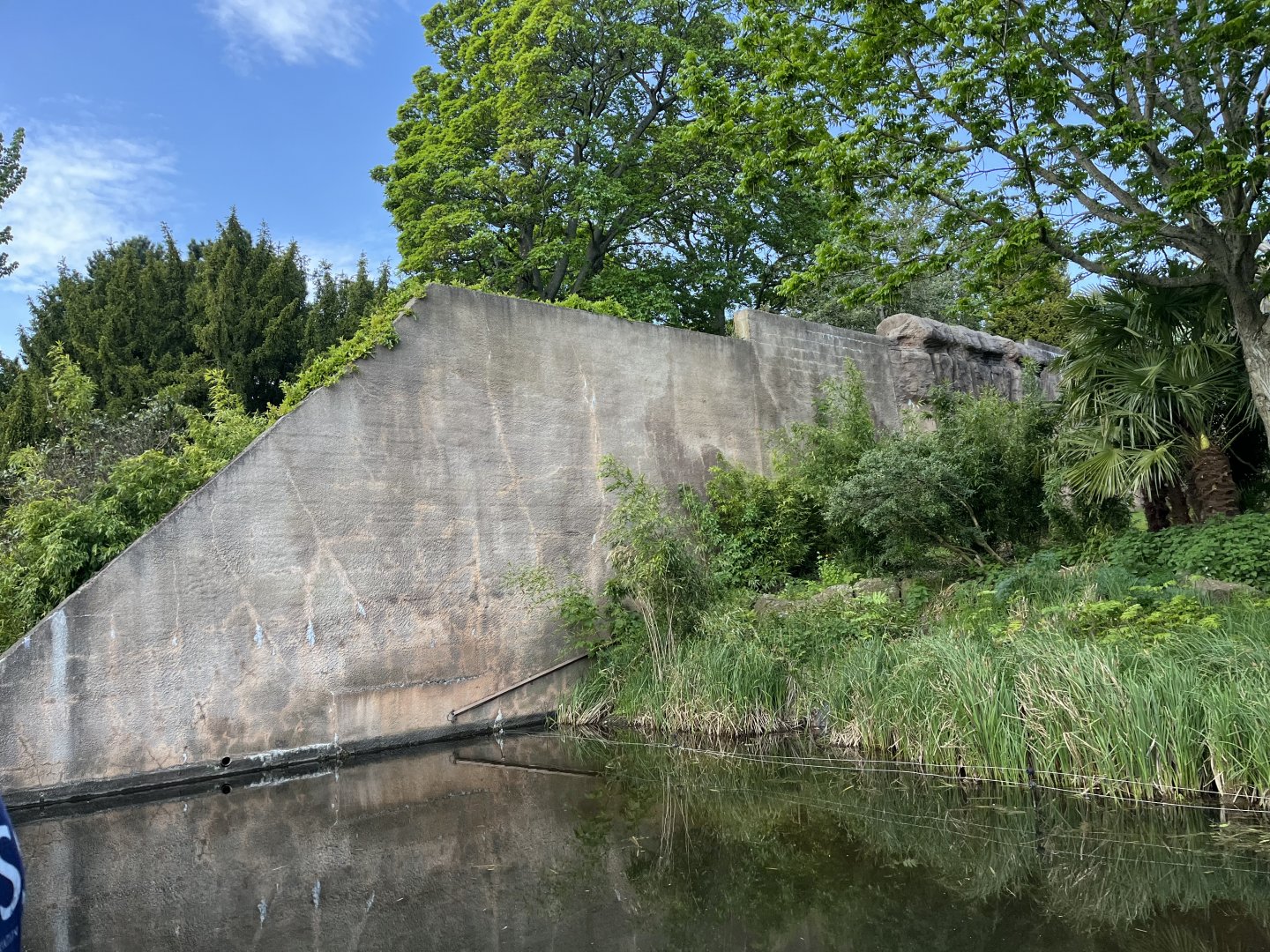 View of wall alongside chimp enclosure 11.5.24
