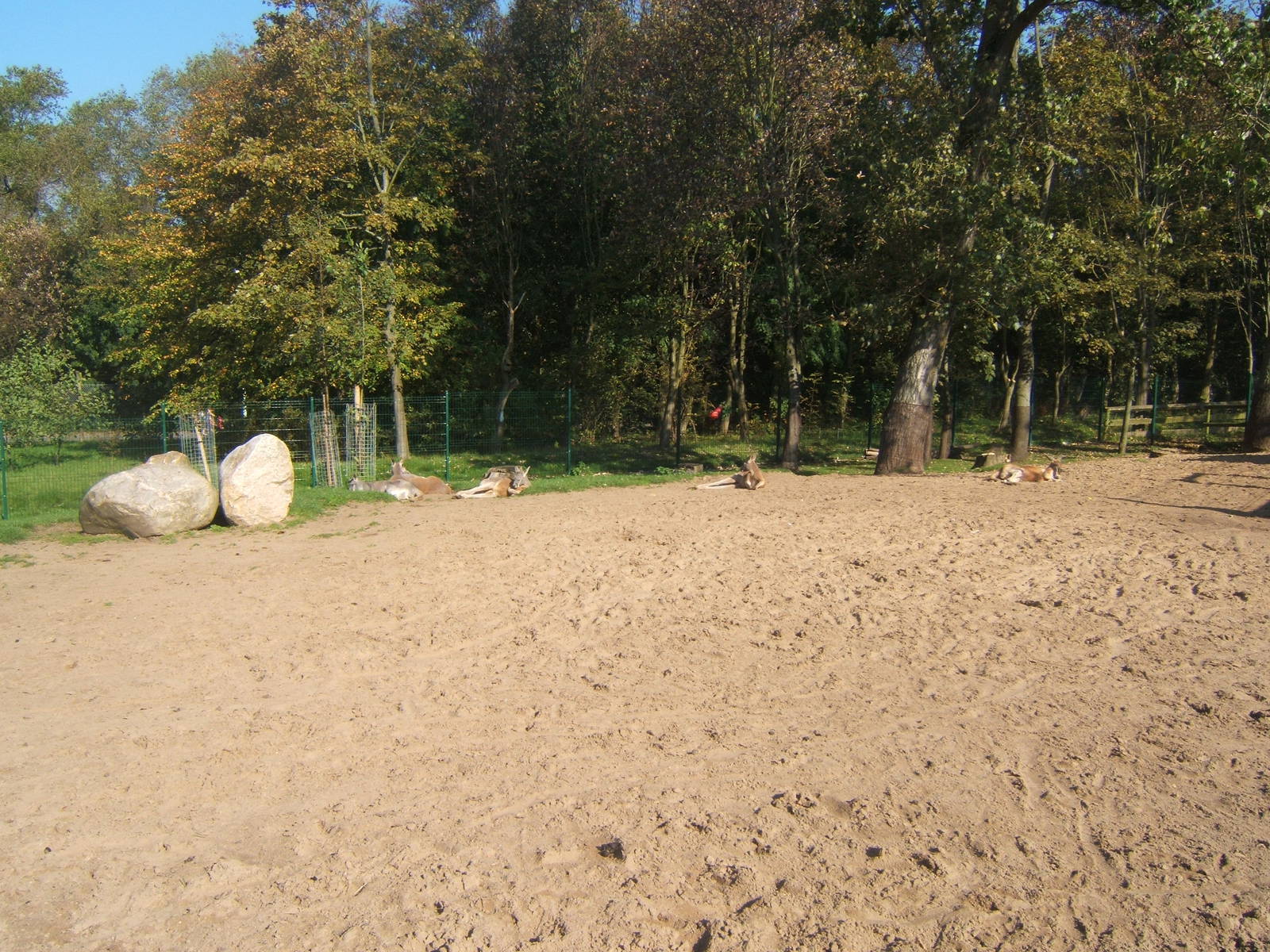 View of wallaby Walk through