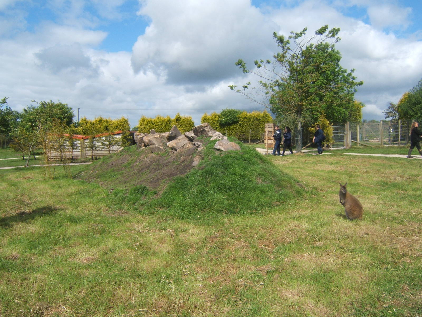 View of Wallaby Walk through