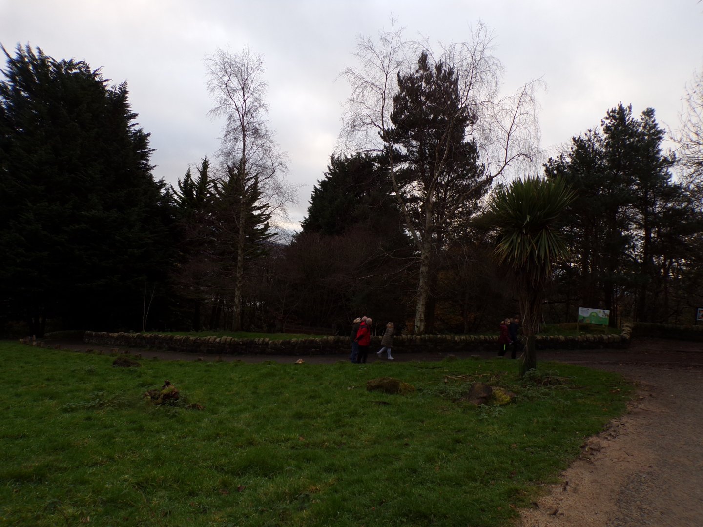 View of wallaby walkthrough 19.11.23