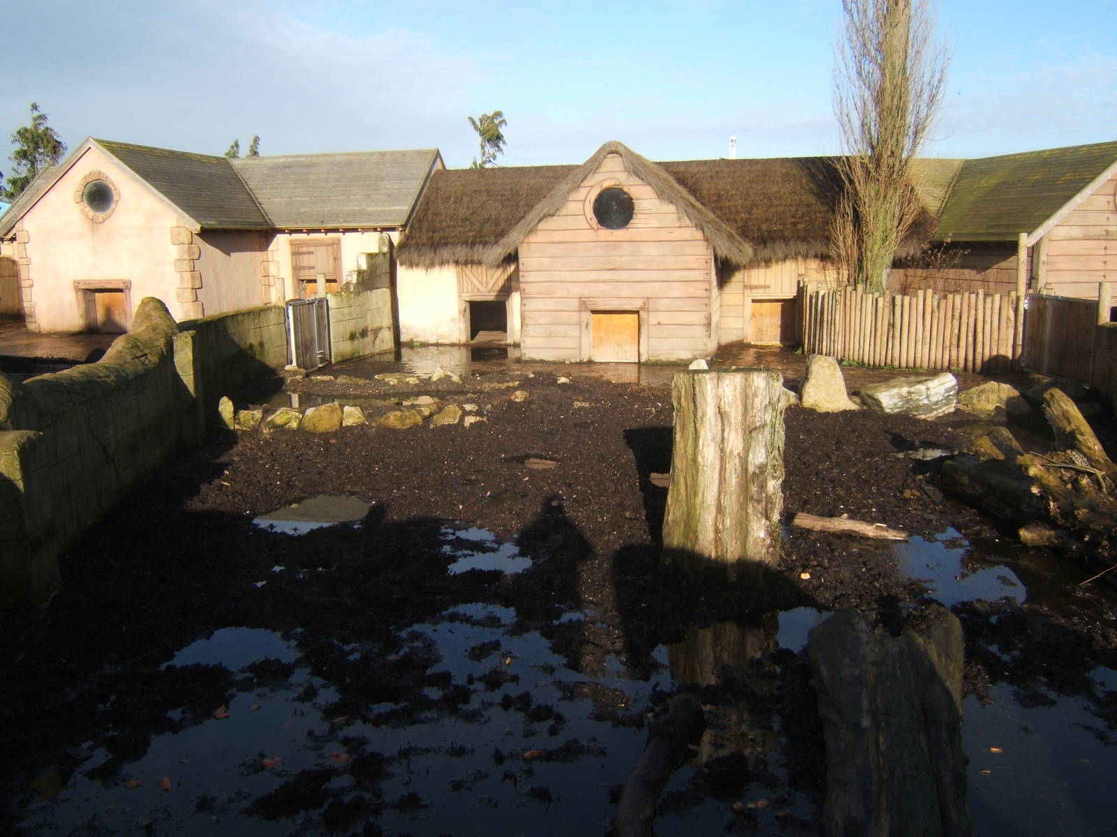 View of Warthog enclosure