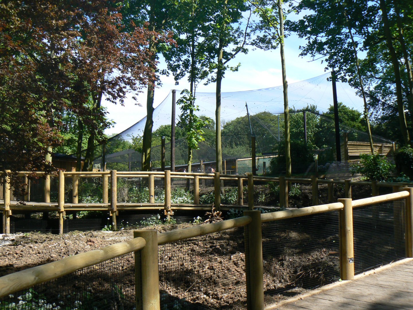 View of Warty Pig Enclosure/ Flamingo Aviary - 13 May 2018