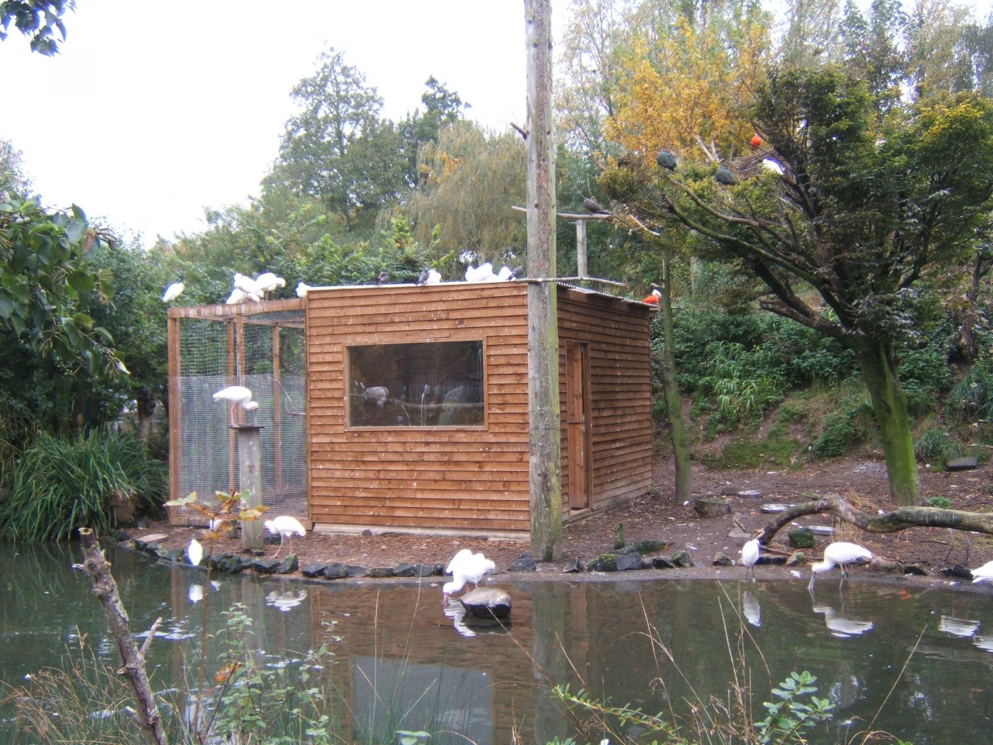 View of water birds aviary