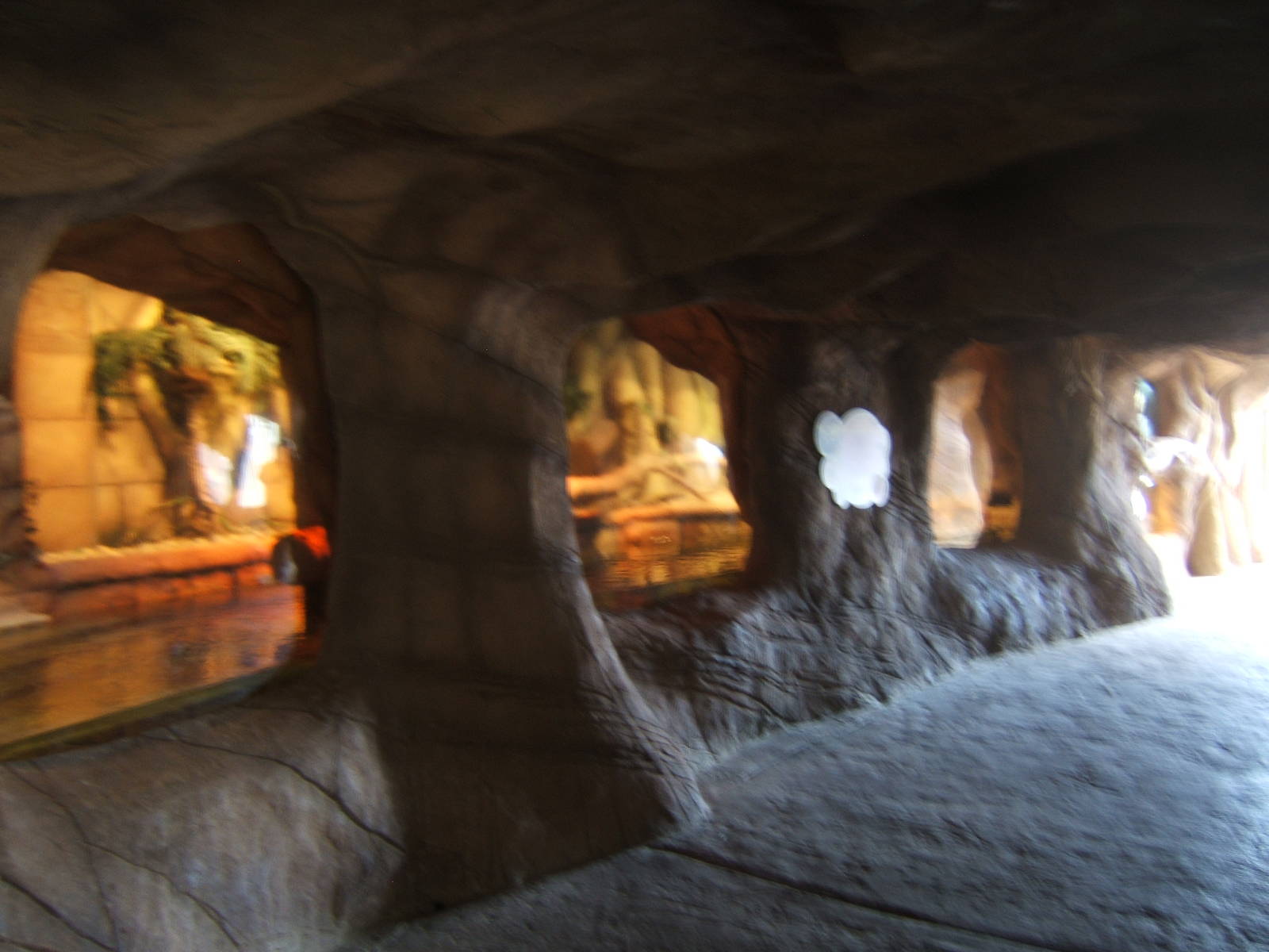 View of Water Monitor exhibit