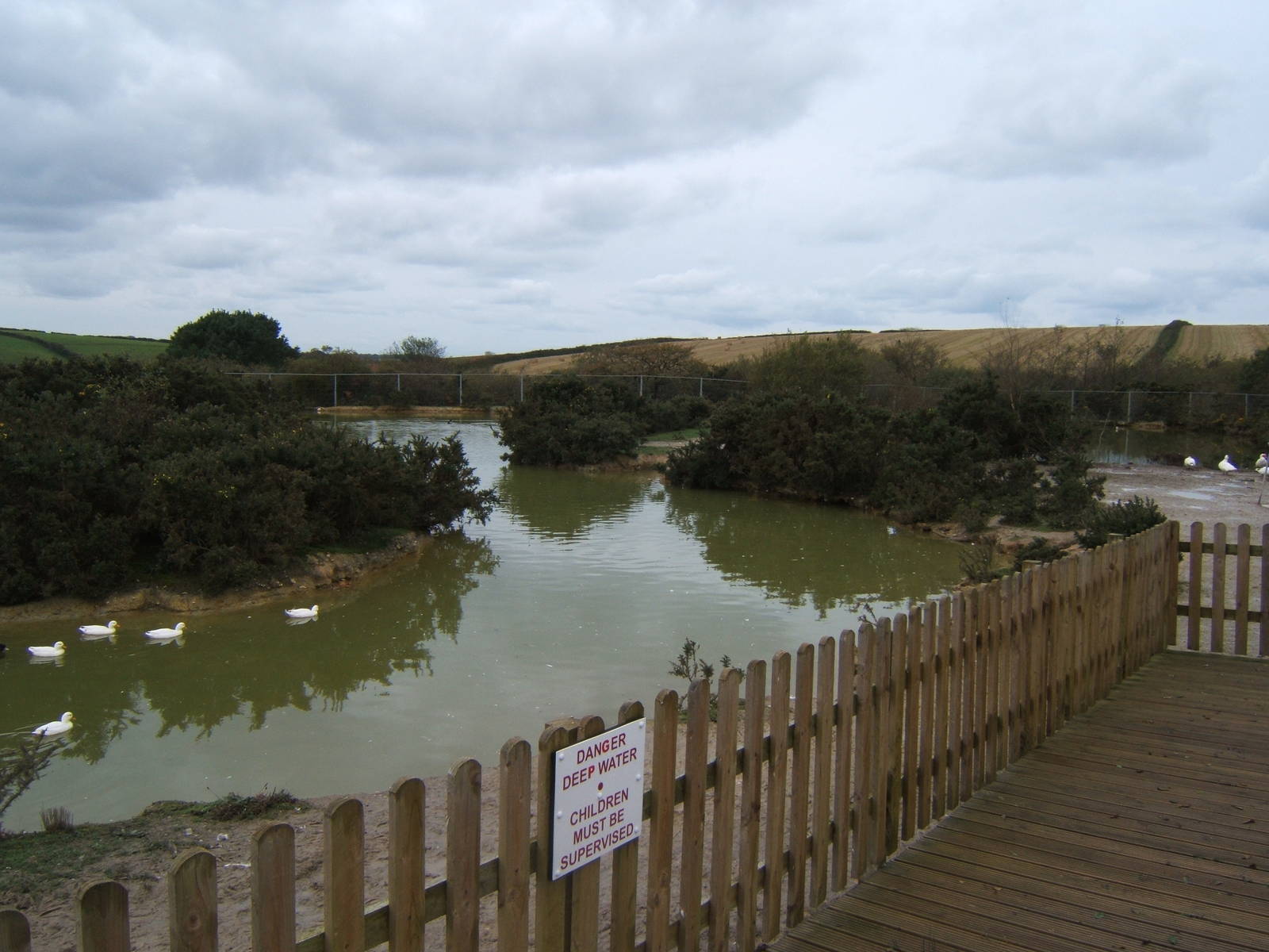 View of Waterfowl enclosure