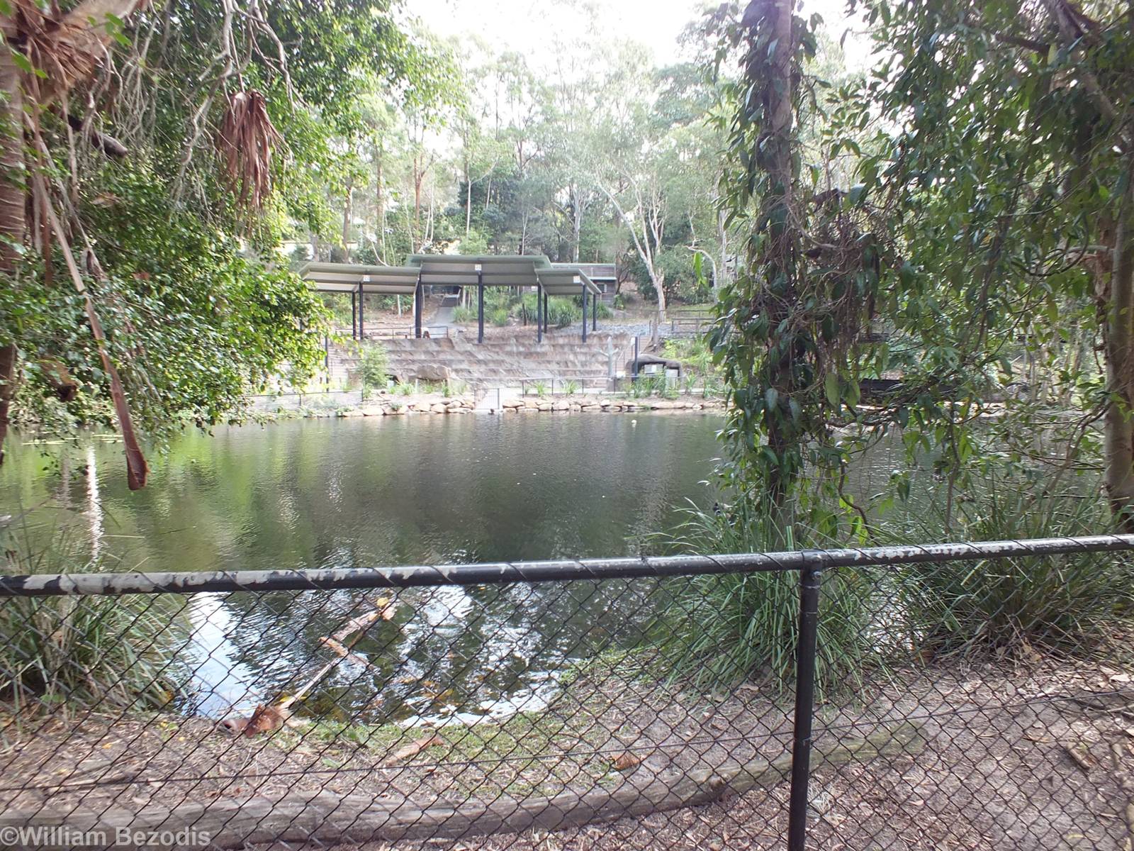 View of Waterfowl Lake and Bird Show Area