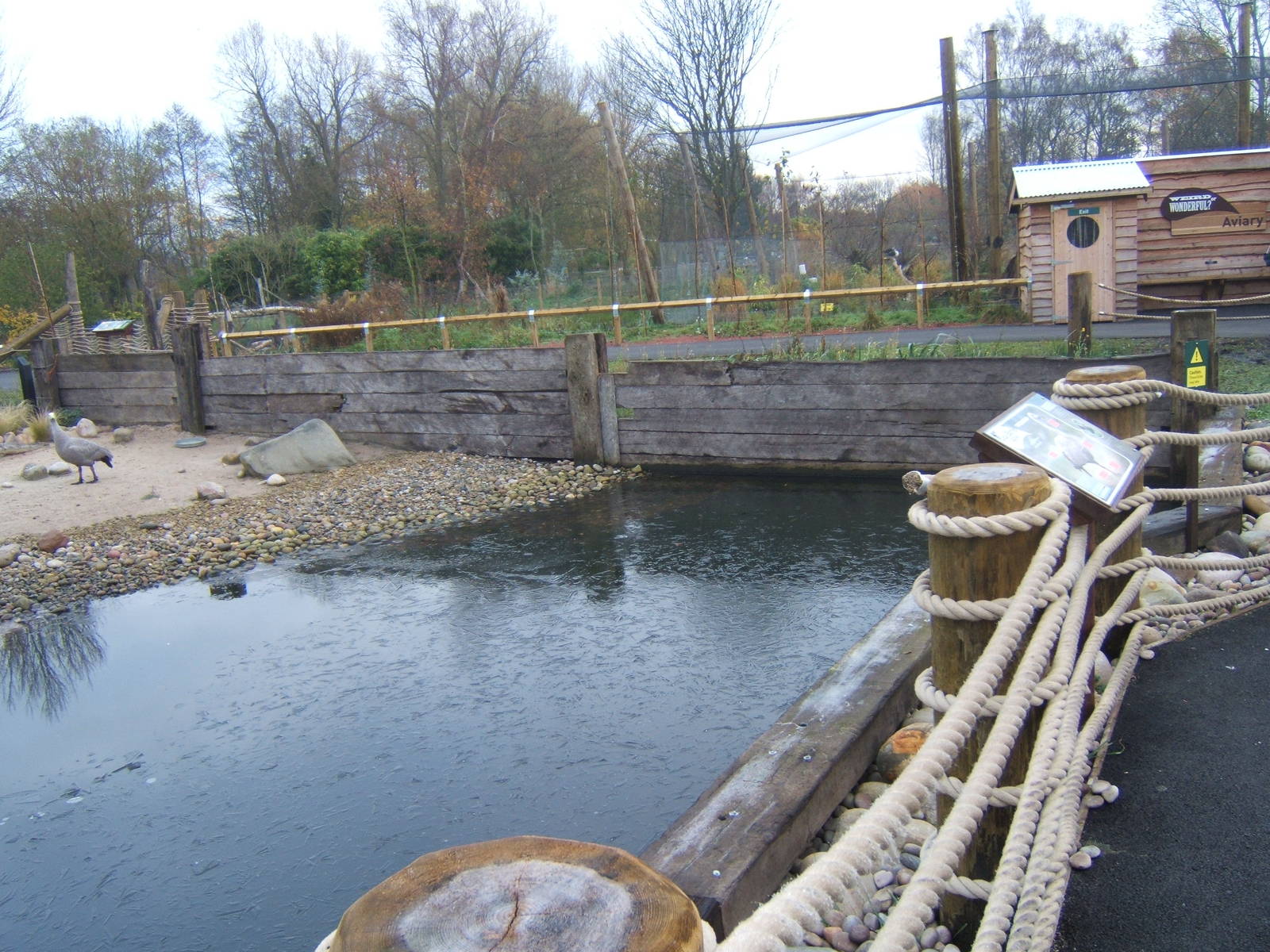 View of waterfowl pen in the new Weird and Wonderfull zone