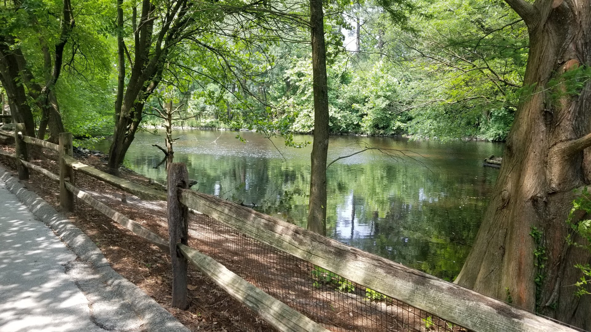View of waterway from main pathway