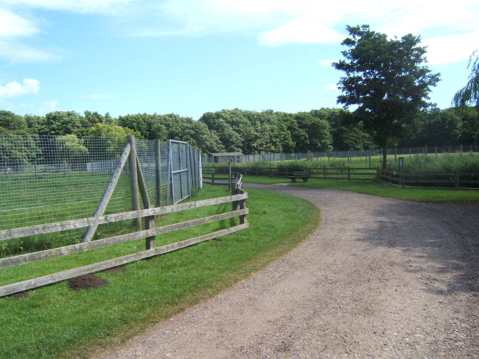 View of wetland Antelope paddocks