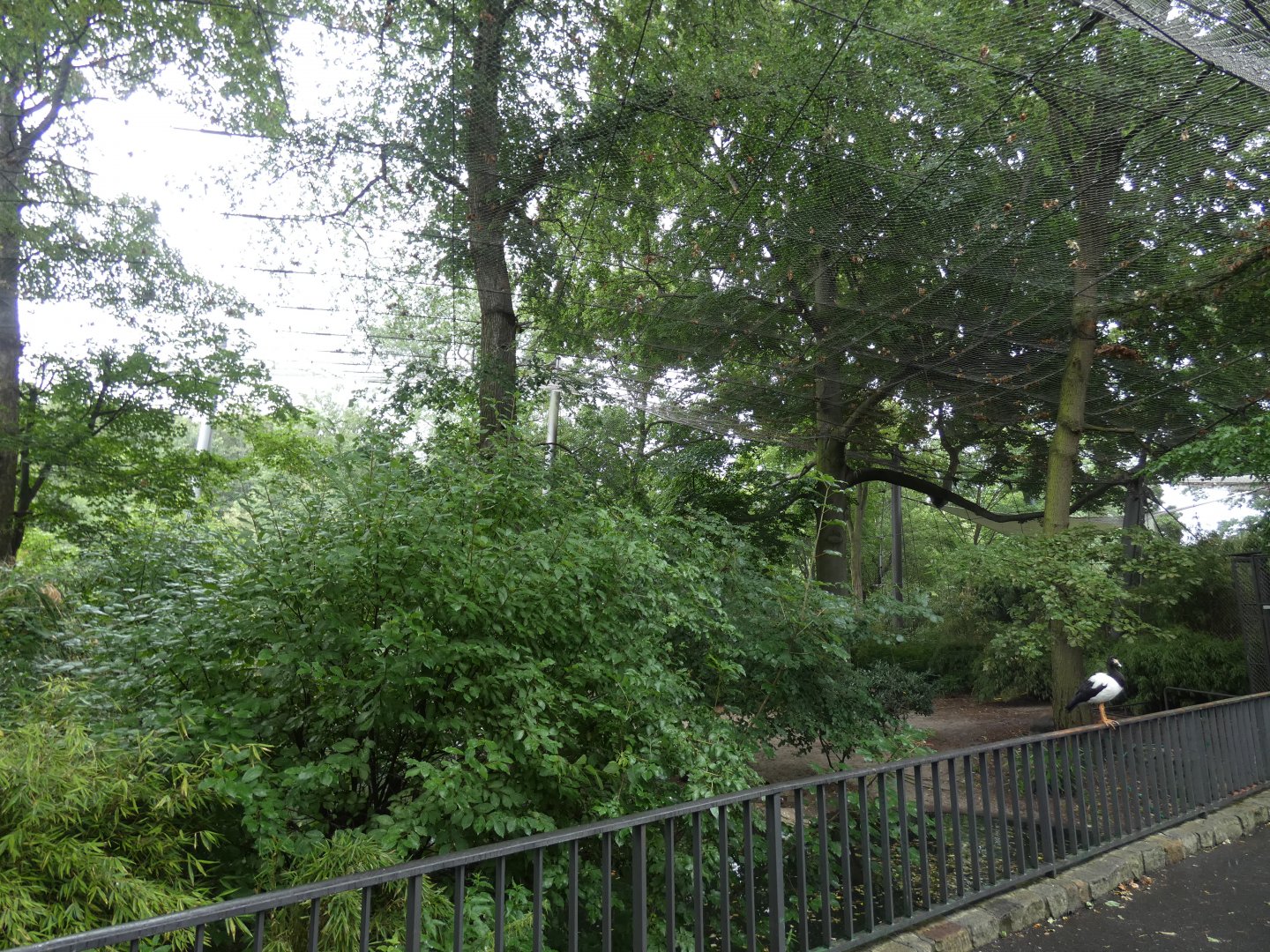 View of Wetland bird walk-through