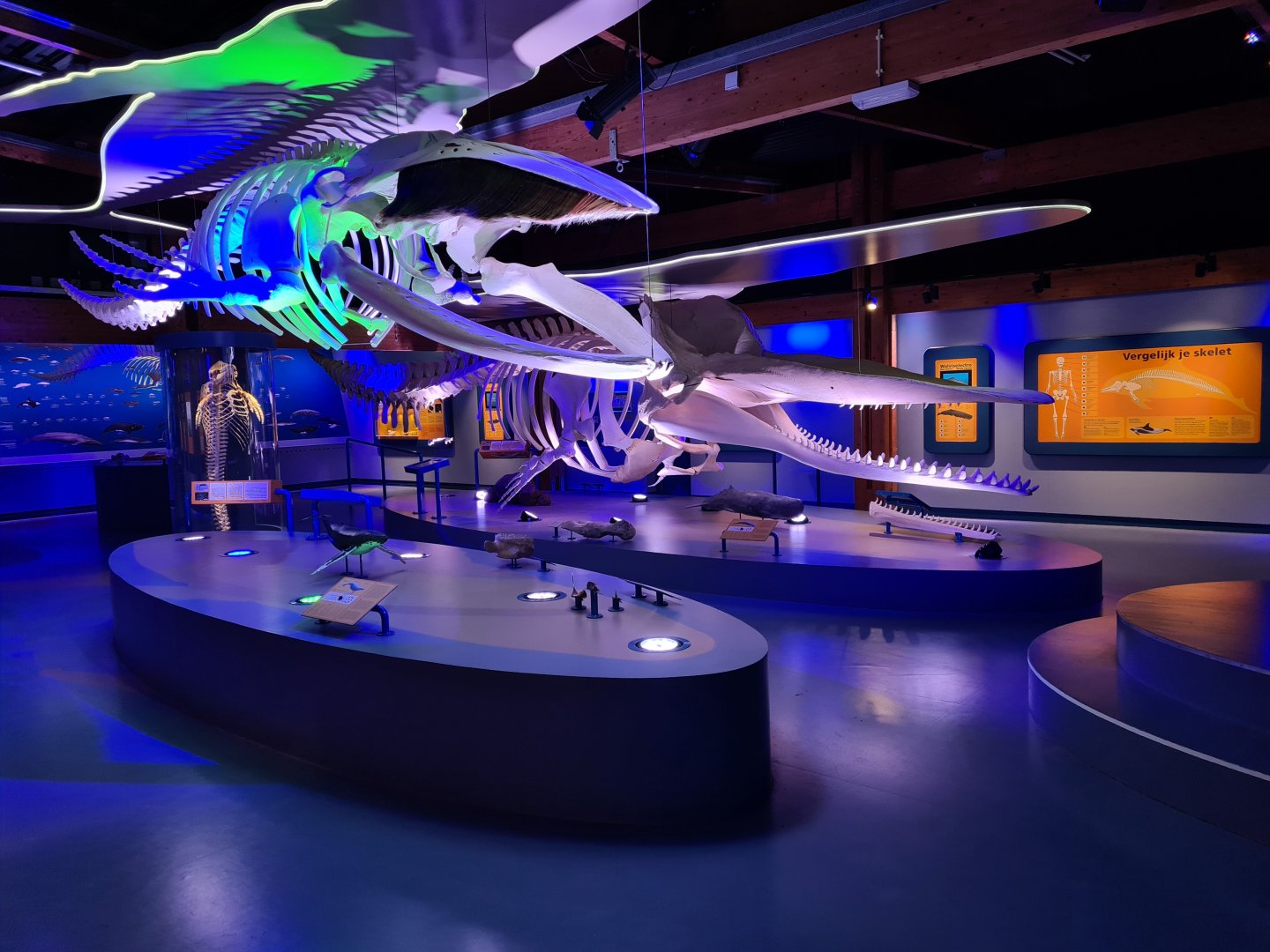 View of whale room
