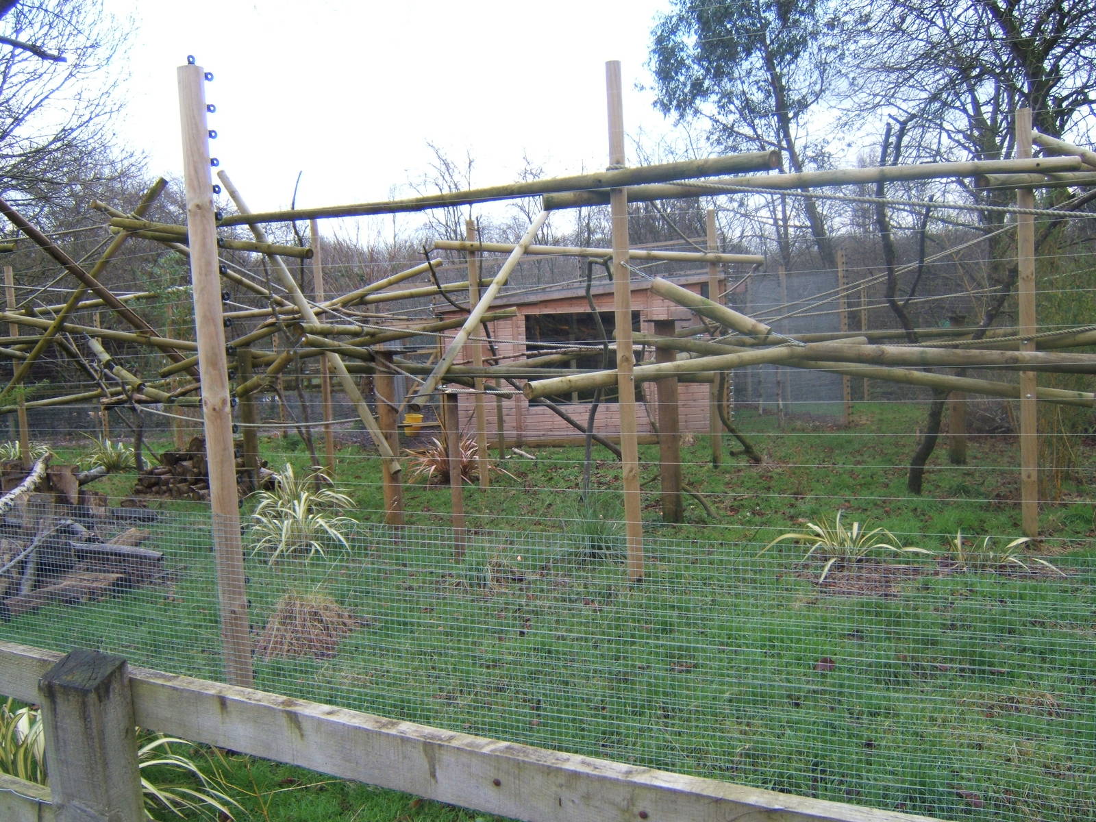 View of White-faced Saki enclosure and house