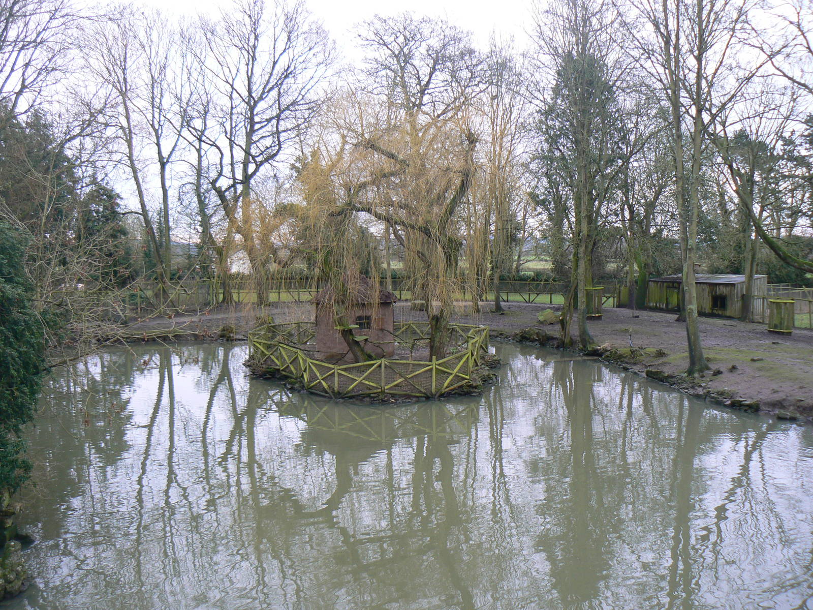 View of White-faced Saki Island - 24 January 2016