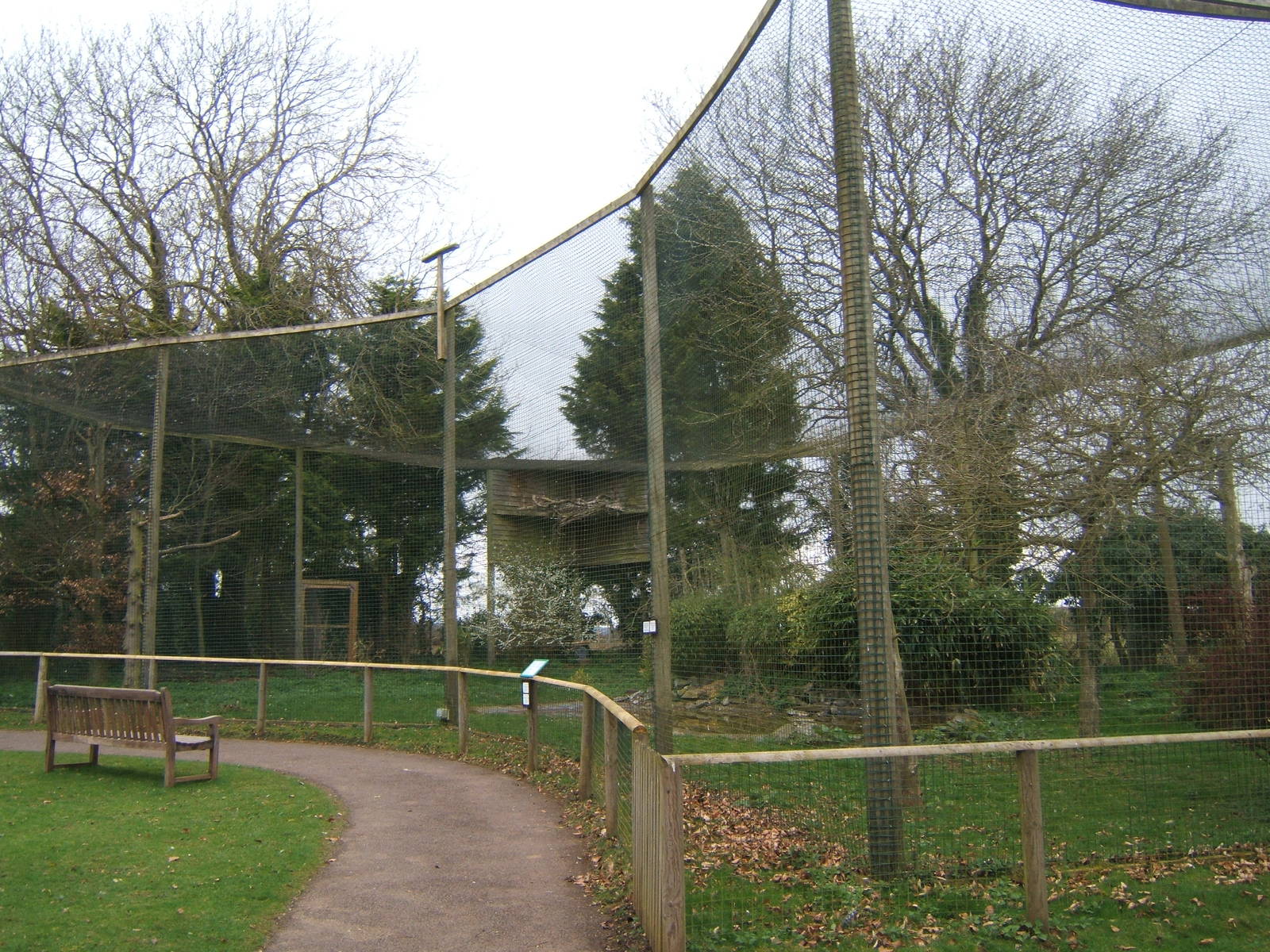 View of White-headed Vulture Aviary