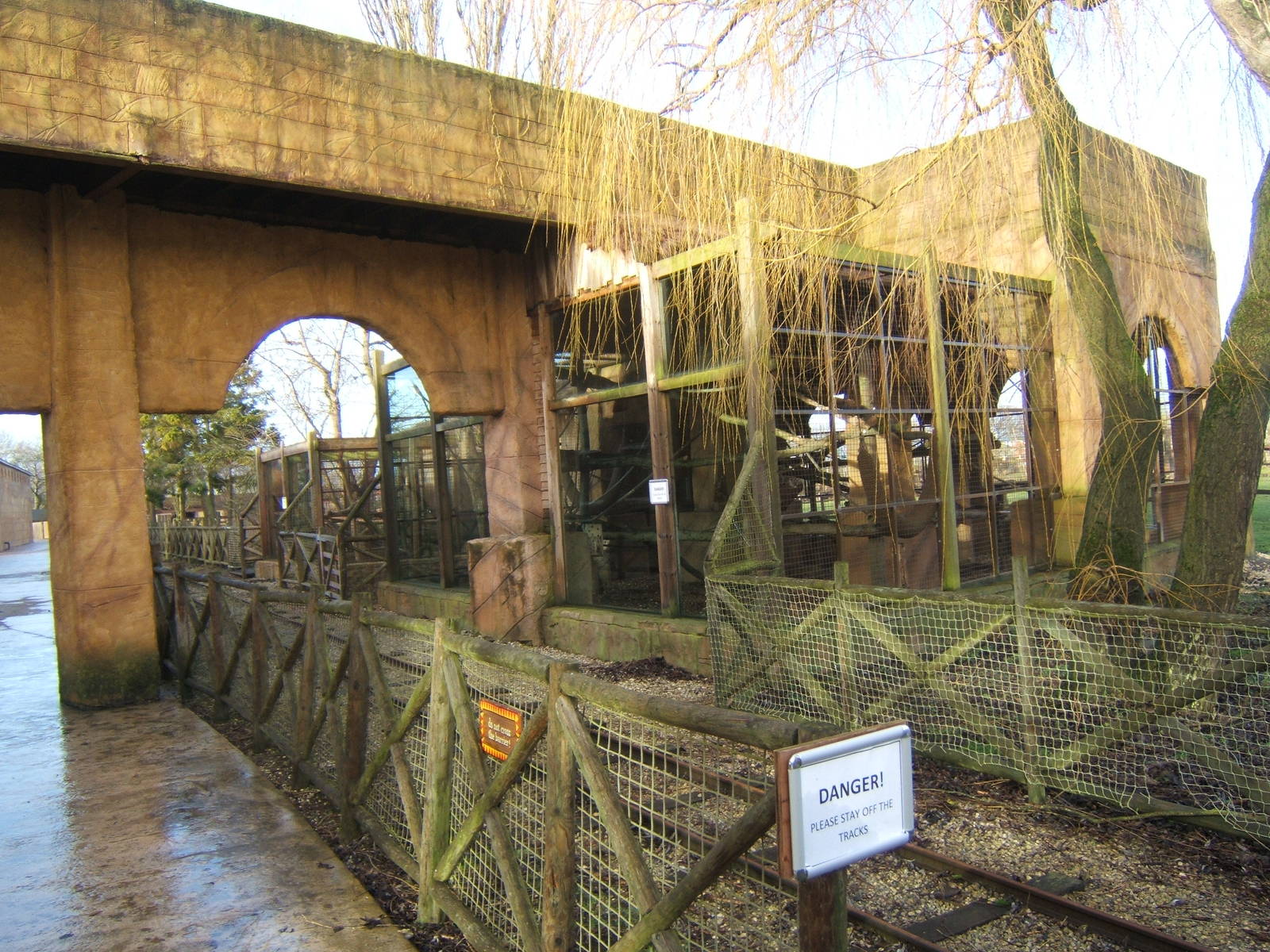 View of White-naped Mangabey enclosure