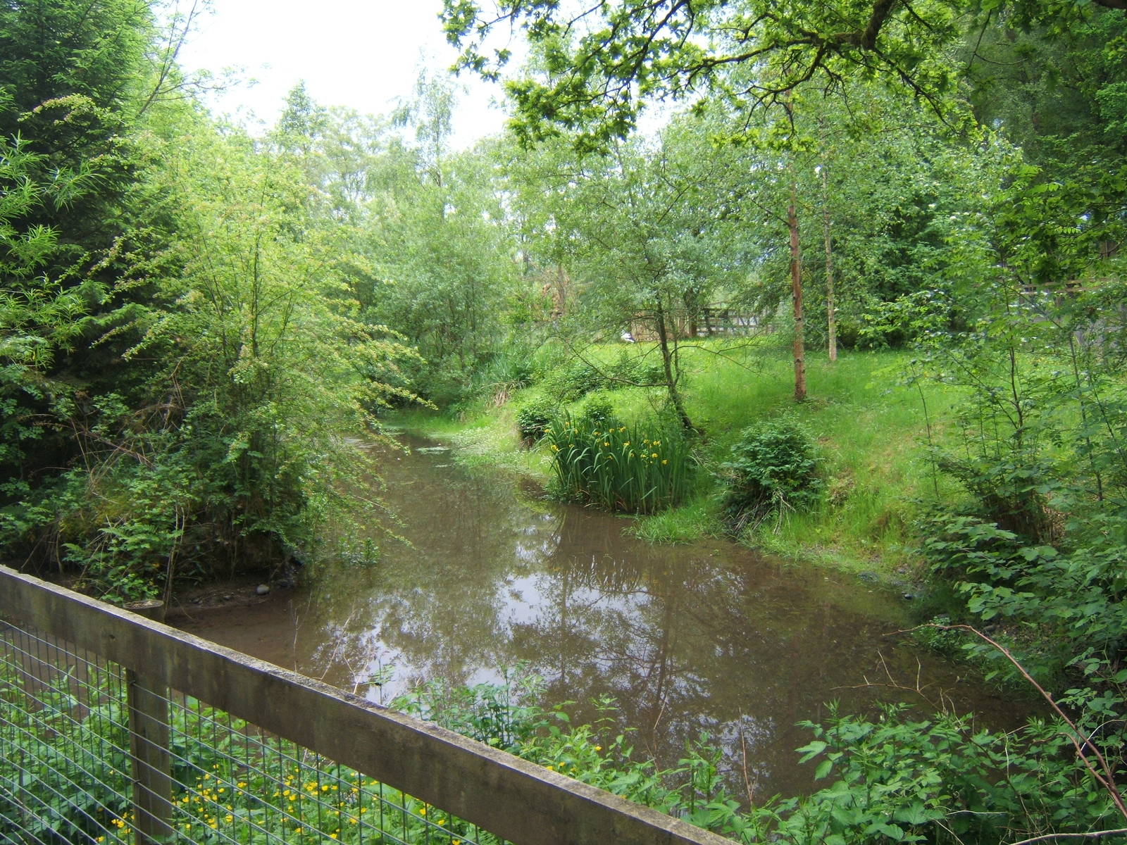 View of White Stork enclosure