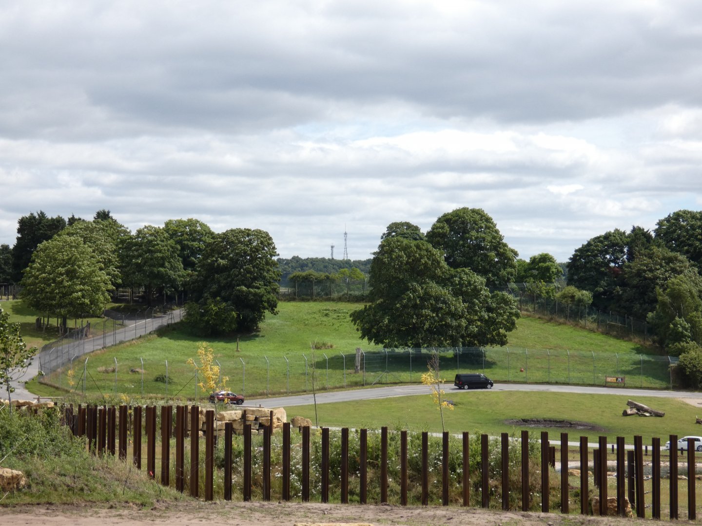 View of White tiger enclosure