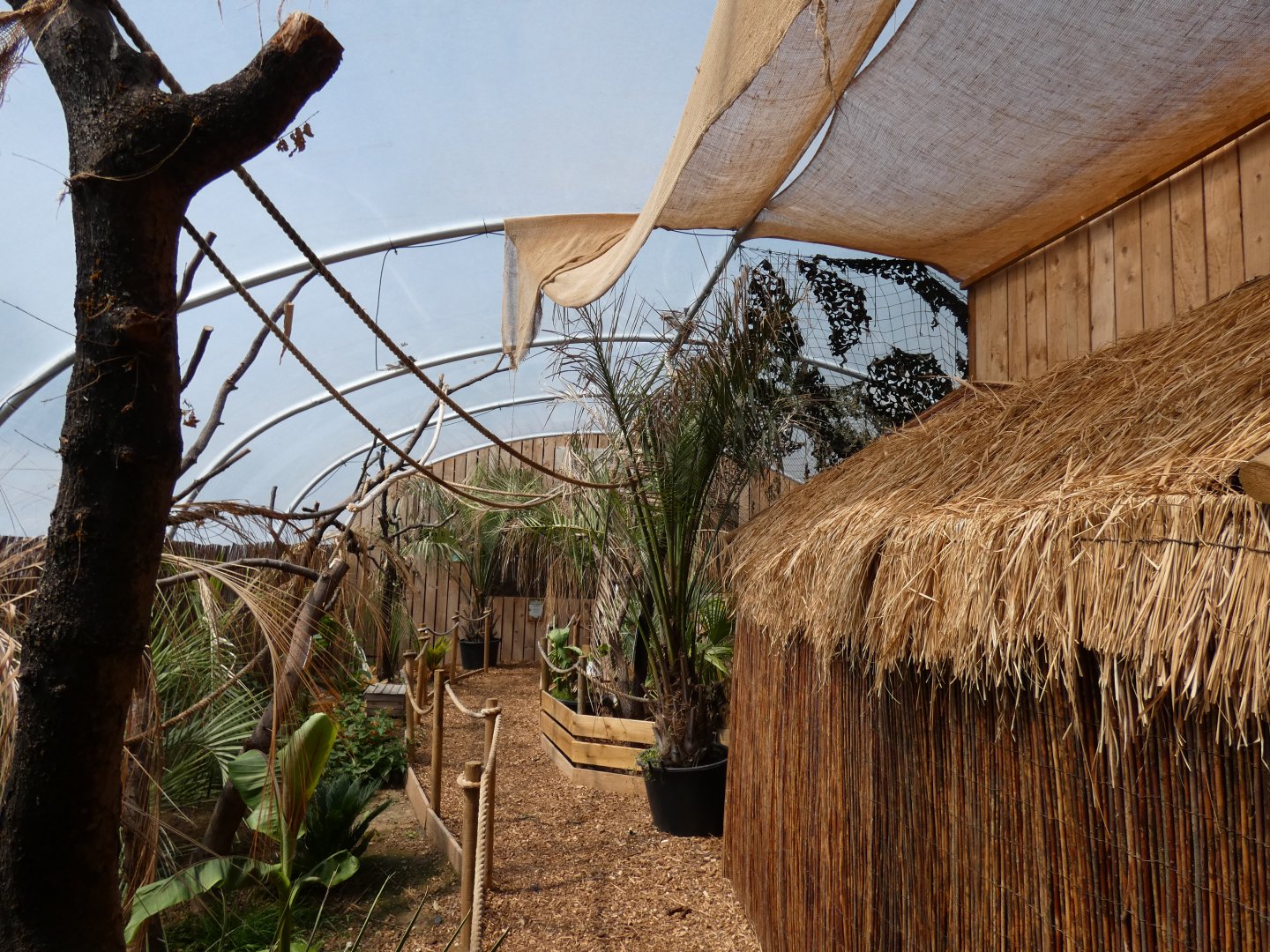 View of 'Wild Amazon'