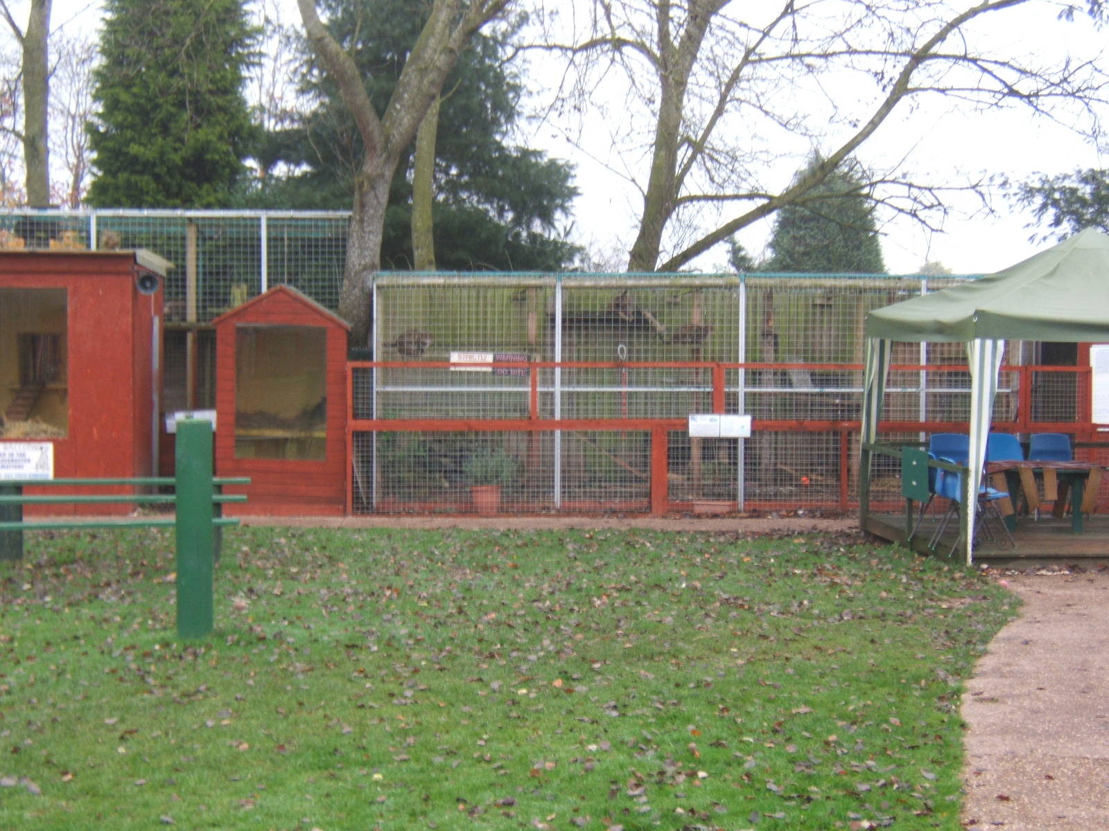 View of Wild Cats and Racoons enclosures