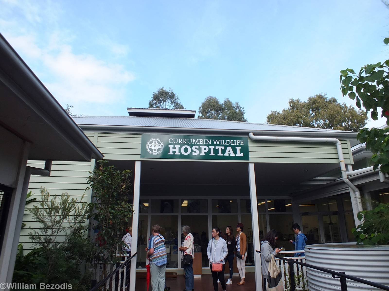 View of Wildlife Hospital