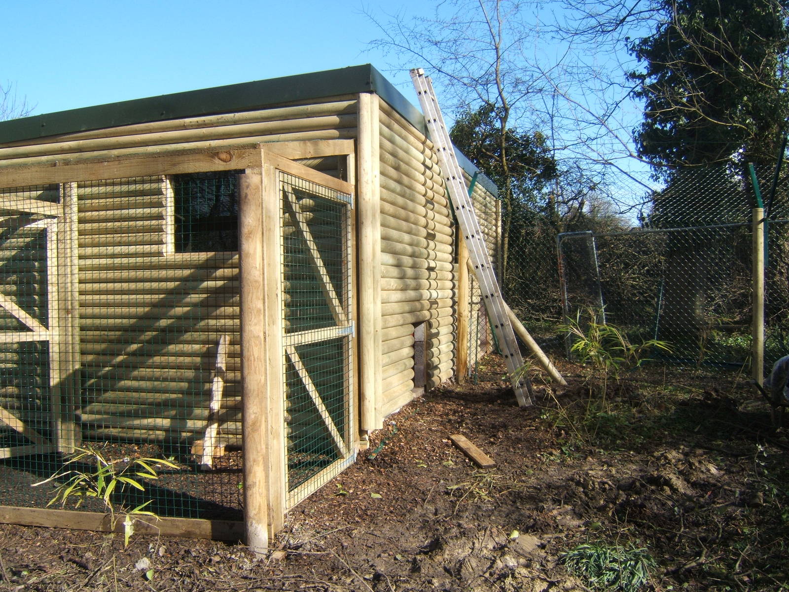 View of Wolf enclosure construction