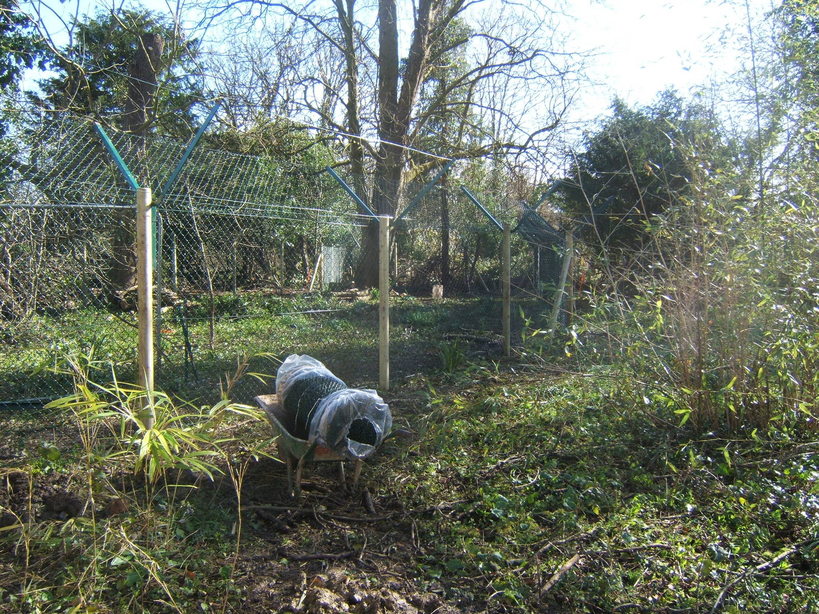 View of Wolf enclosure construction