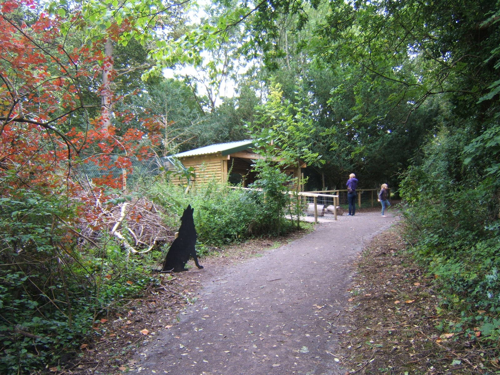 View of Wolf viewing hide
