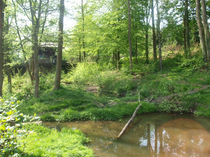 View of wolverine enclosure (May 2nd, 2015)