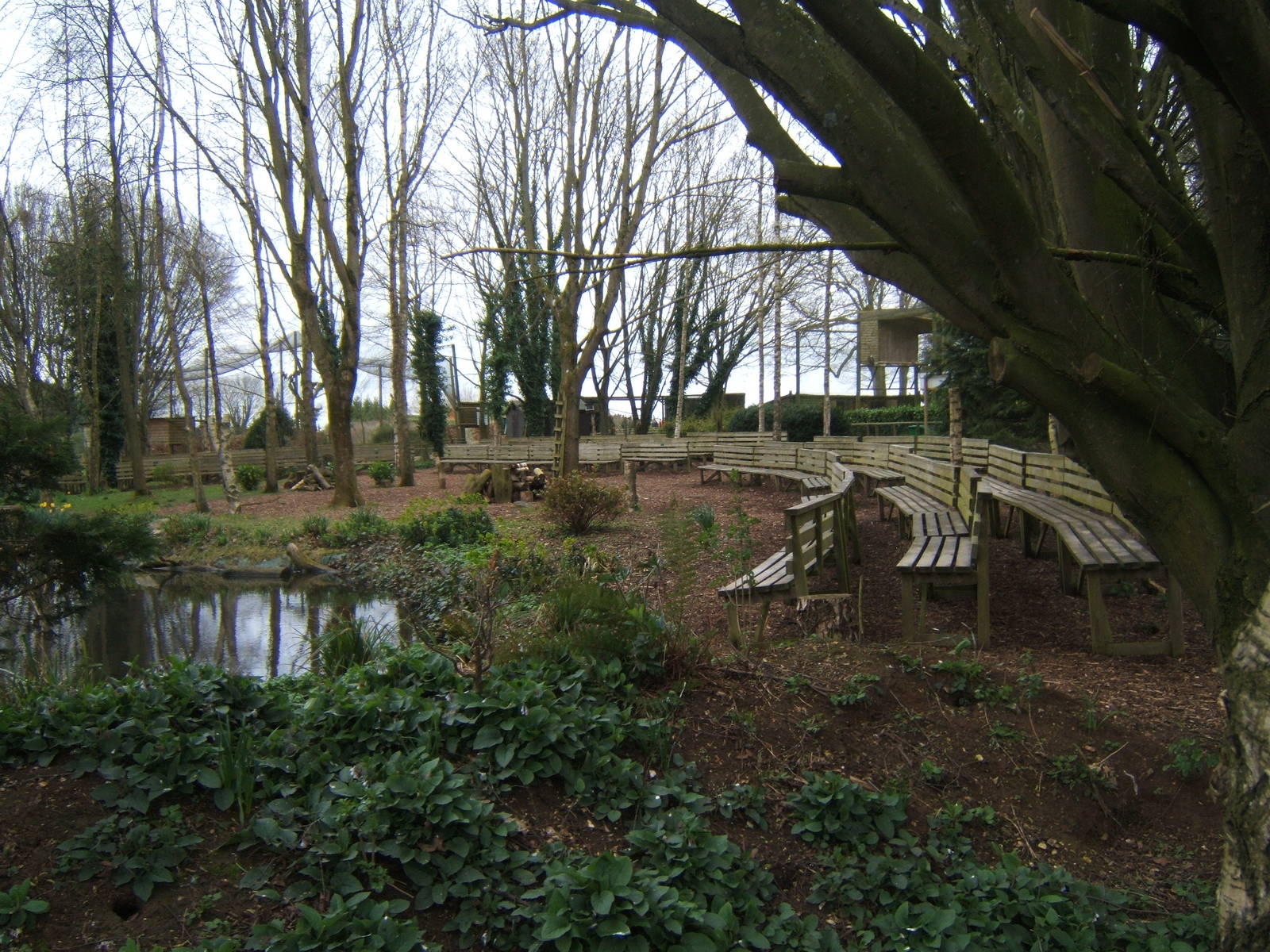 View of Woodland Arena