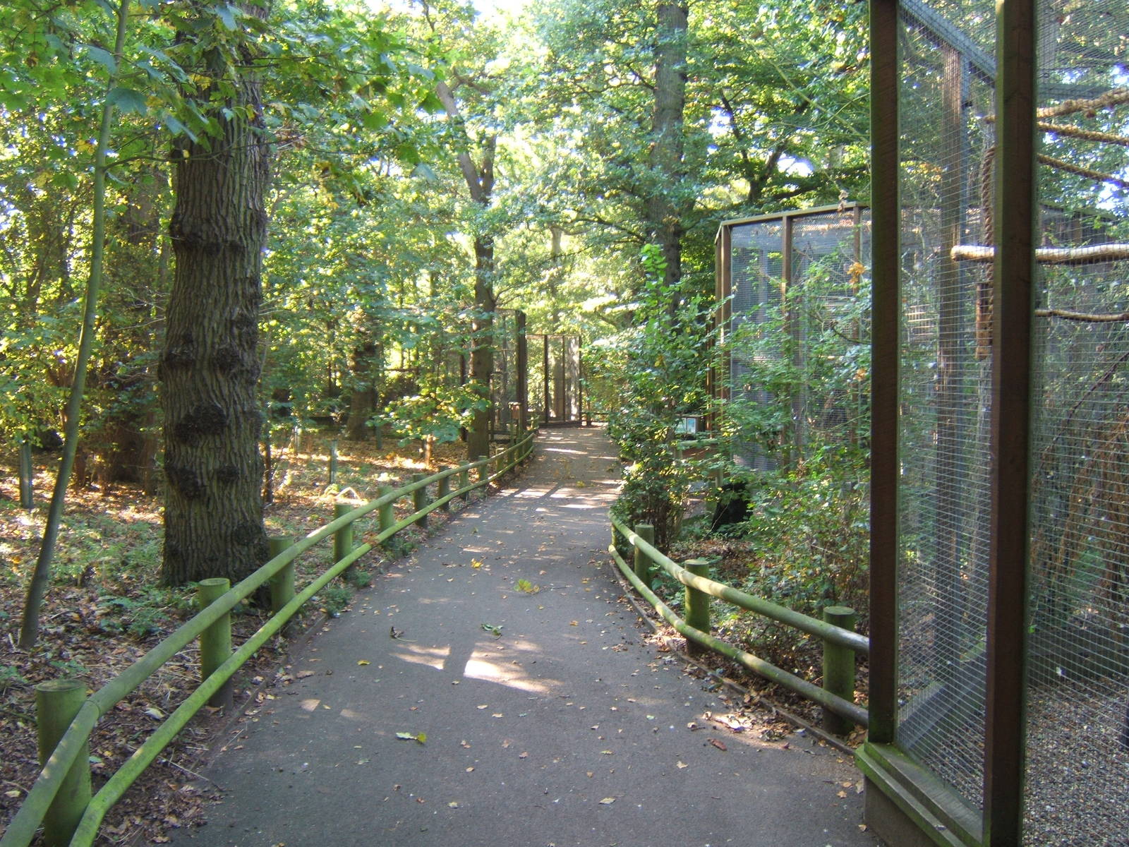 View of Woodland Aviary walk